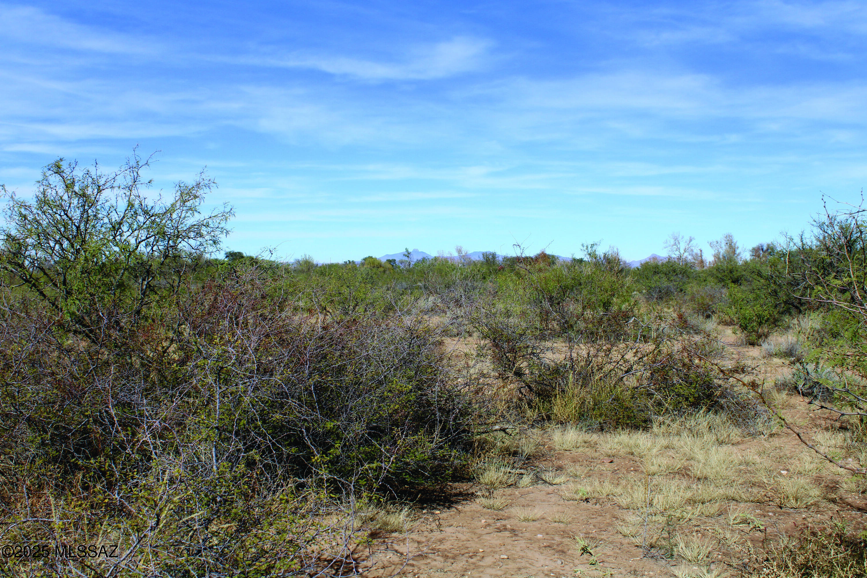 Turkey Creek Ranch - Land