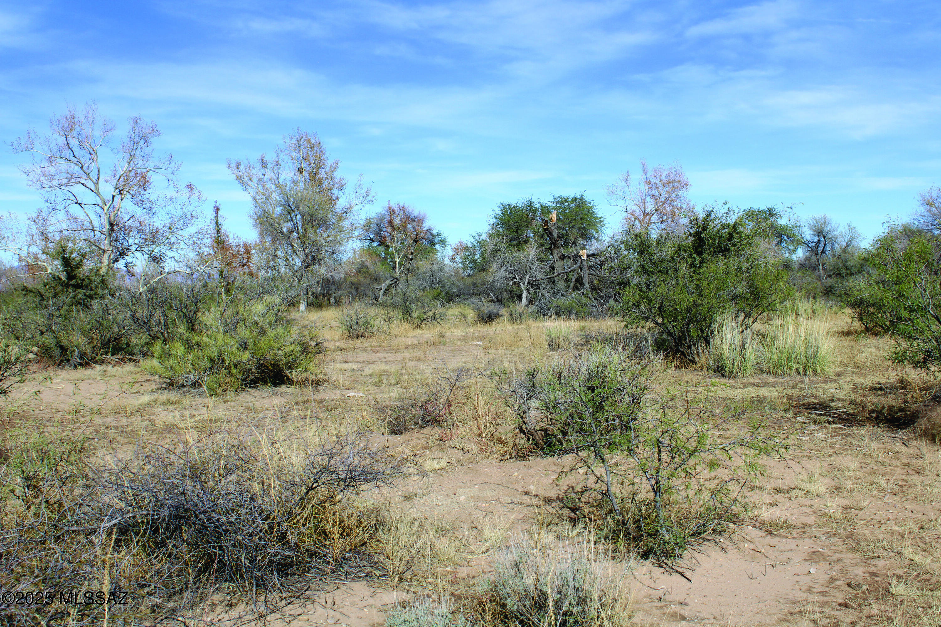 Turkey Creek Ranch - Land