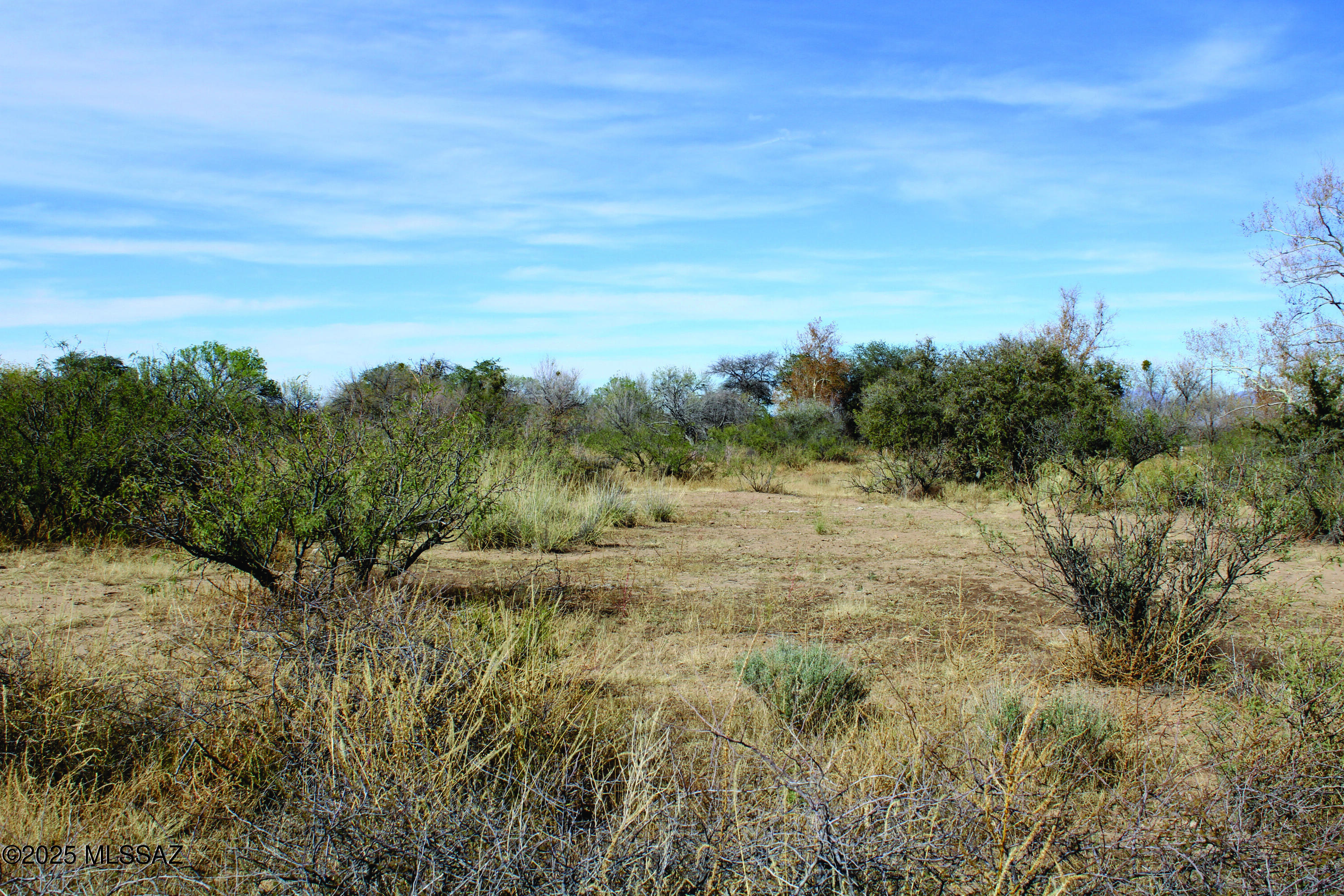Turkey Creek Ranch - Land