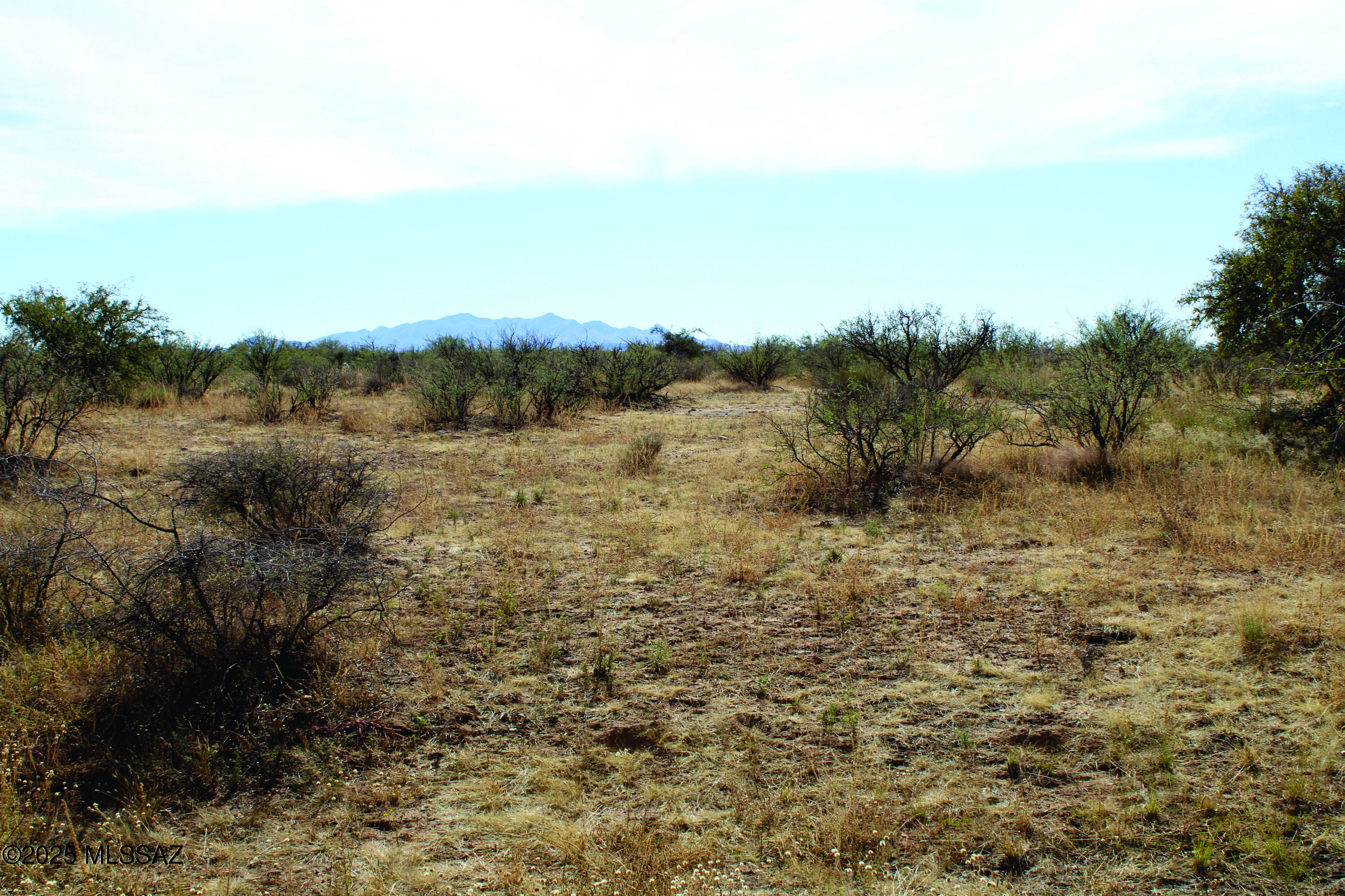 Turkey Creek Ranch - Land