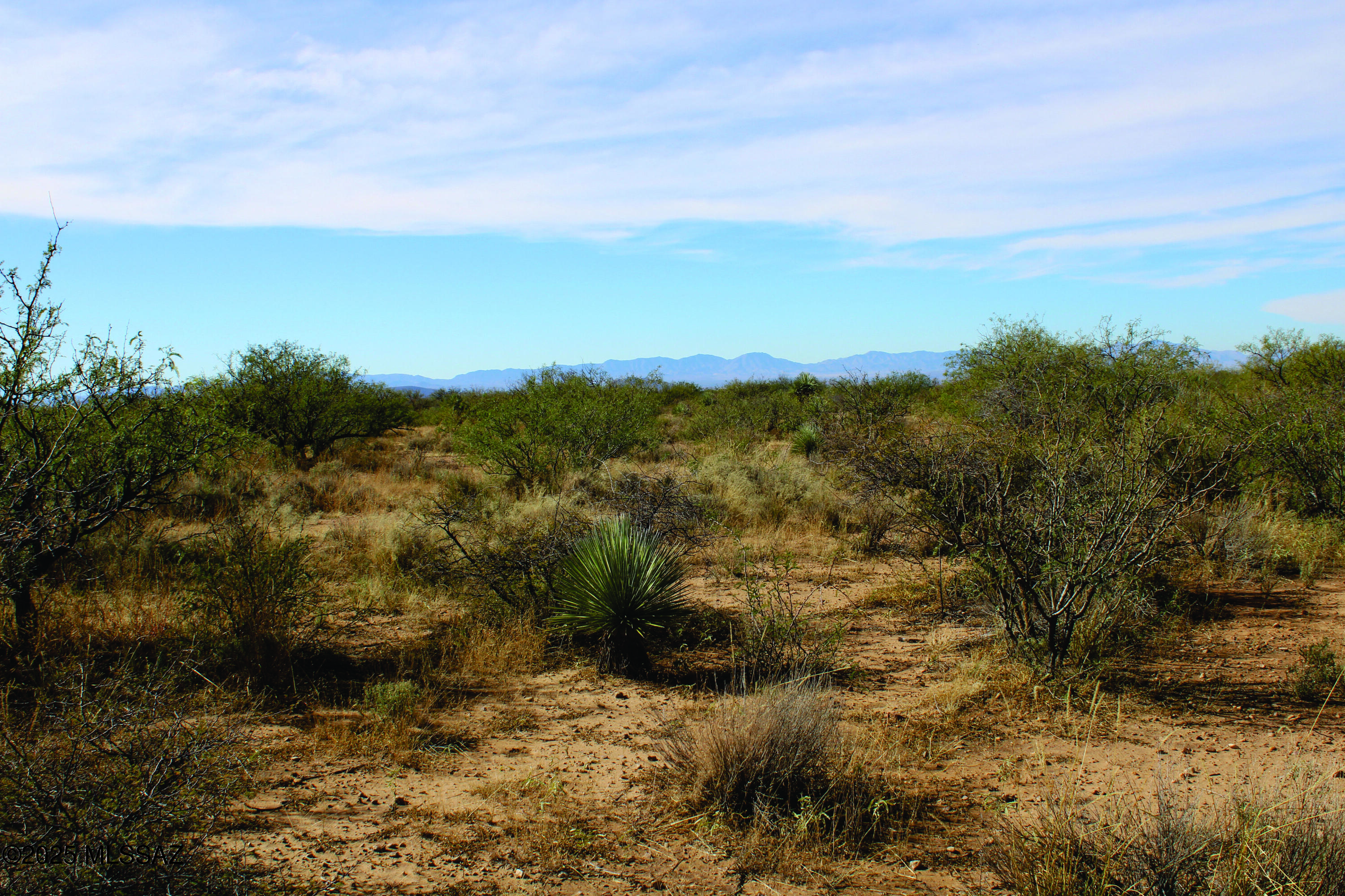 Turkey Creek Ranch - Land