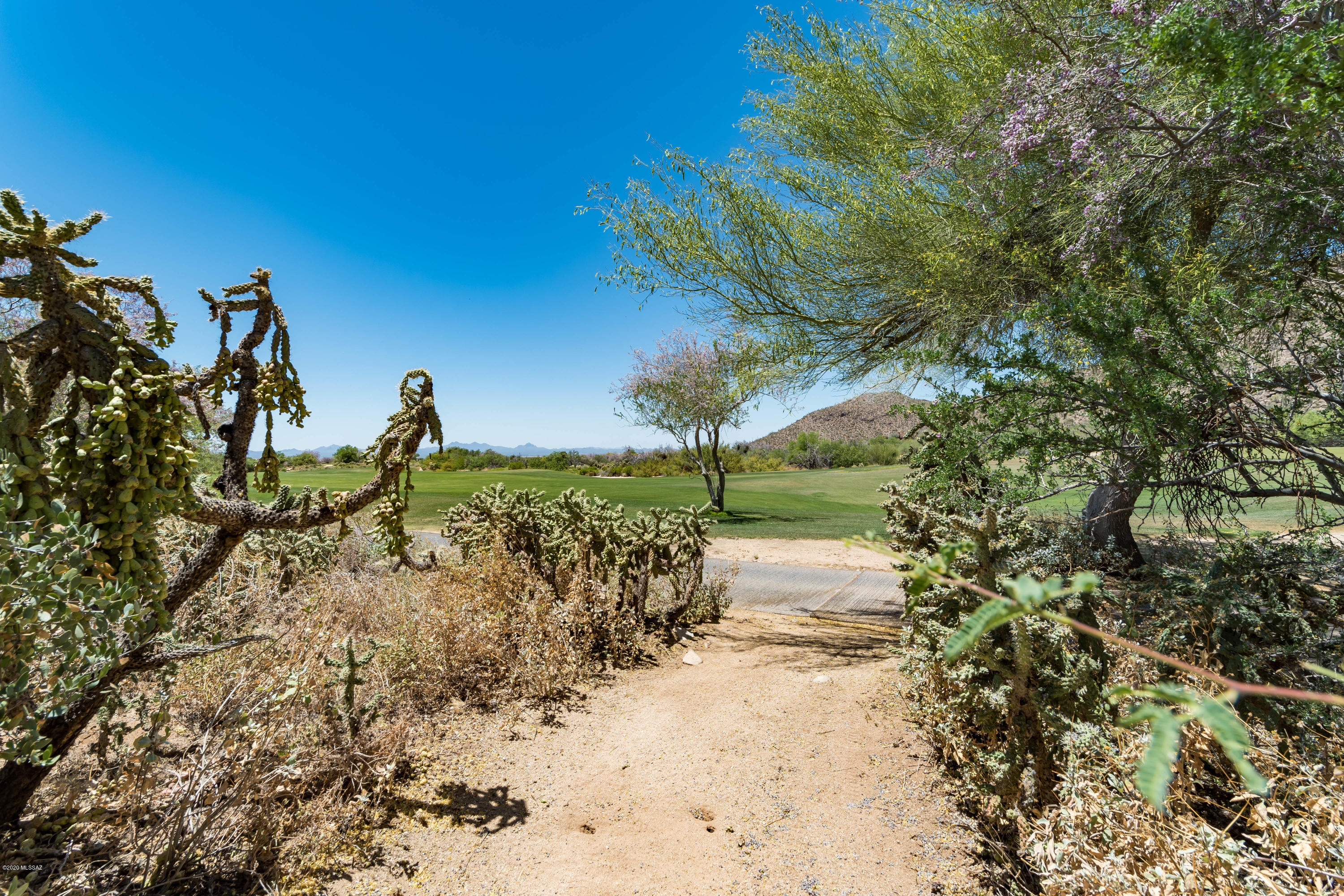 Canyon Pass At Dove Mountain - Residential