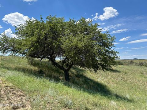 A home in Sonoita