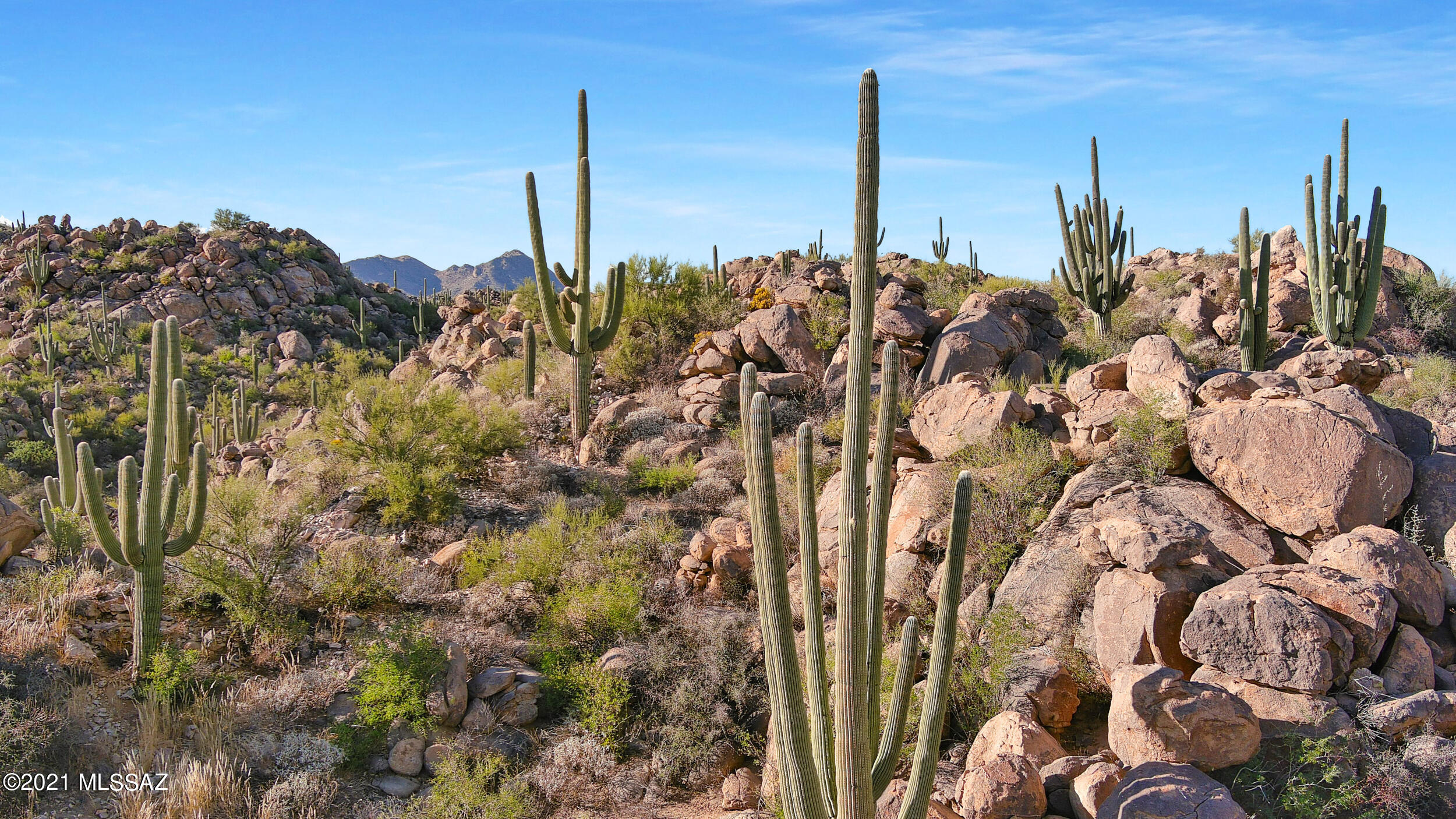 Stone Canyon VIII (486-602) - Residential