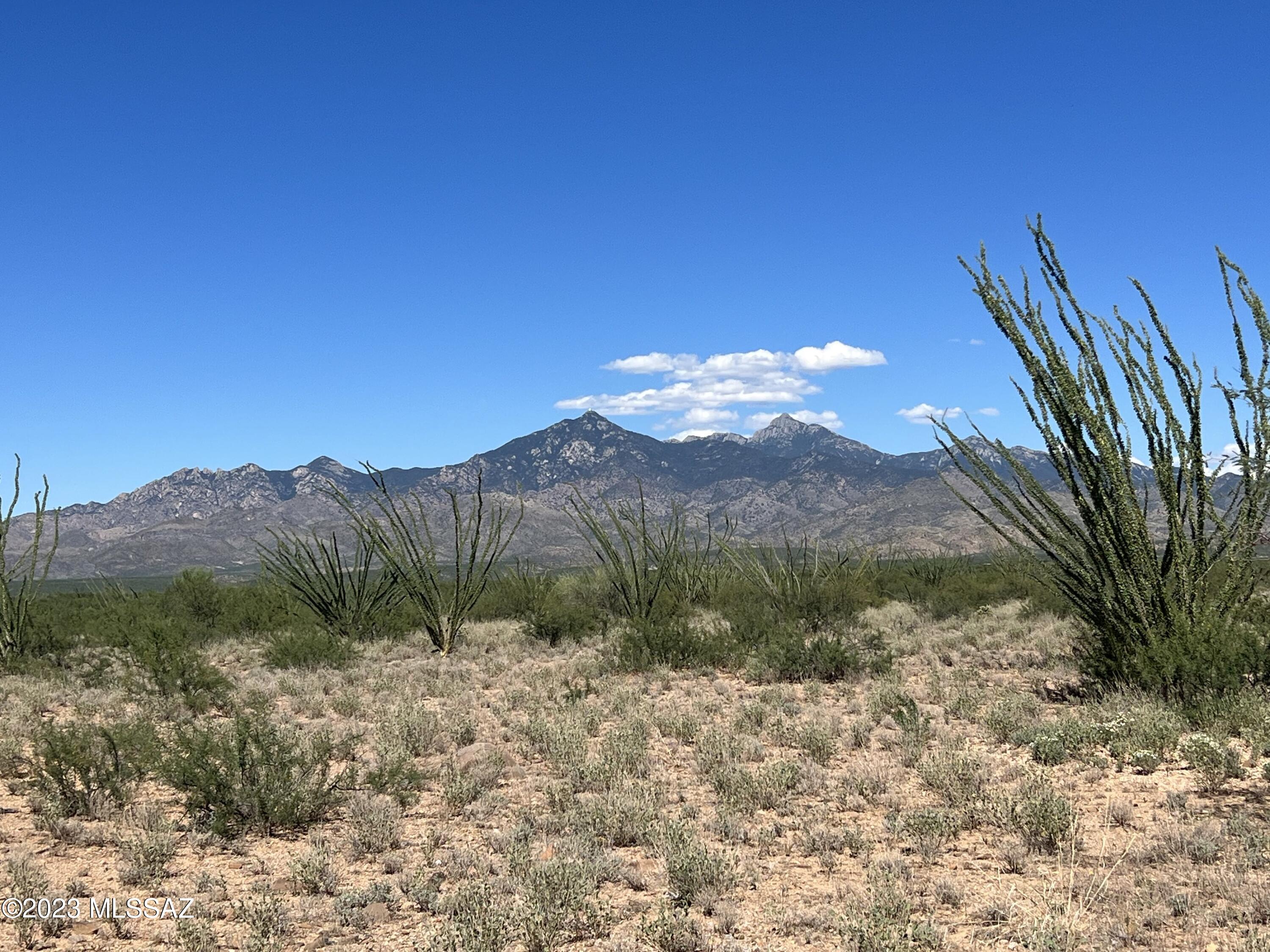 Tubac Foothills Ranch - Land