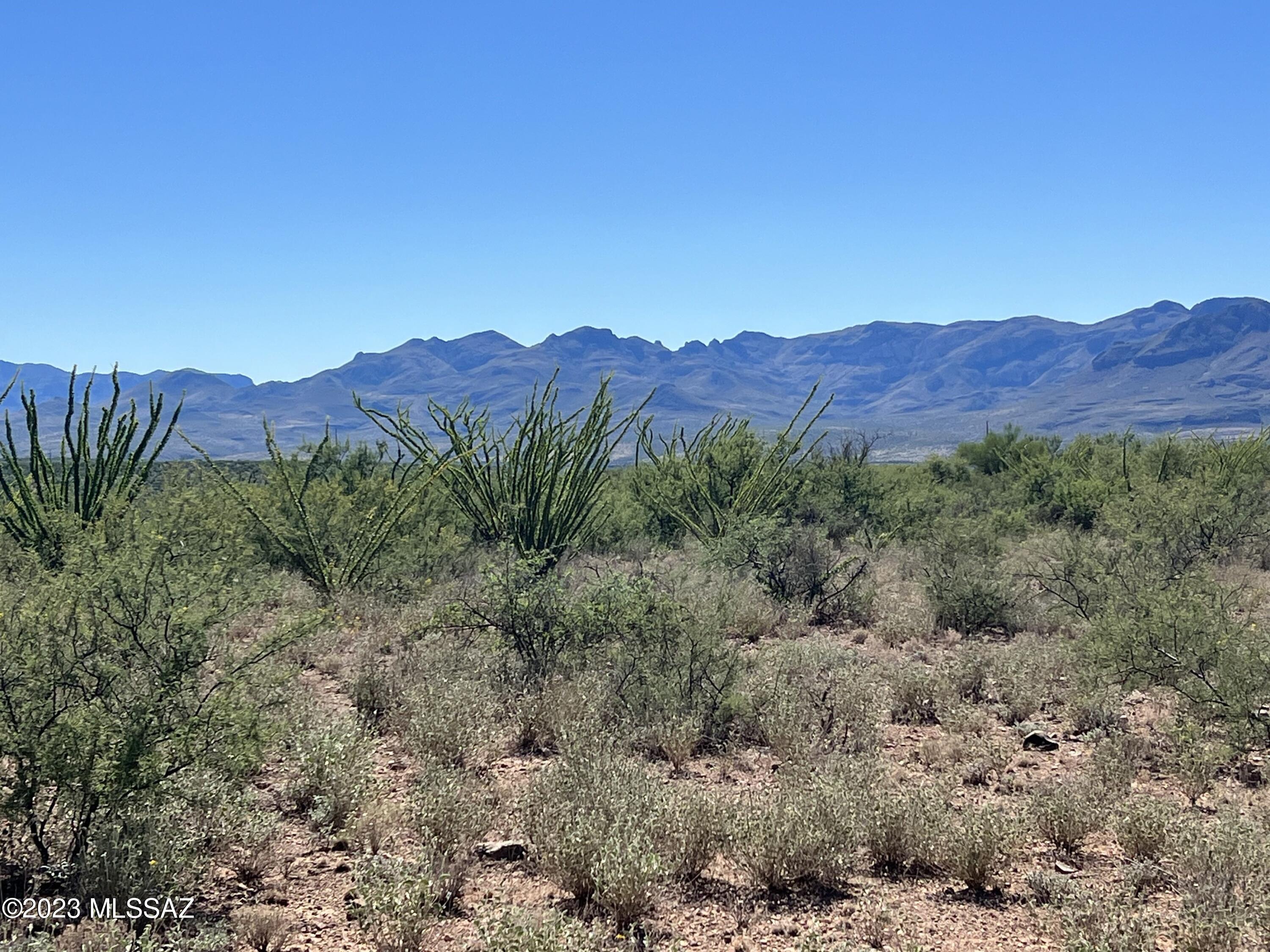 Tubac Foothills Ranch - Land
