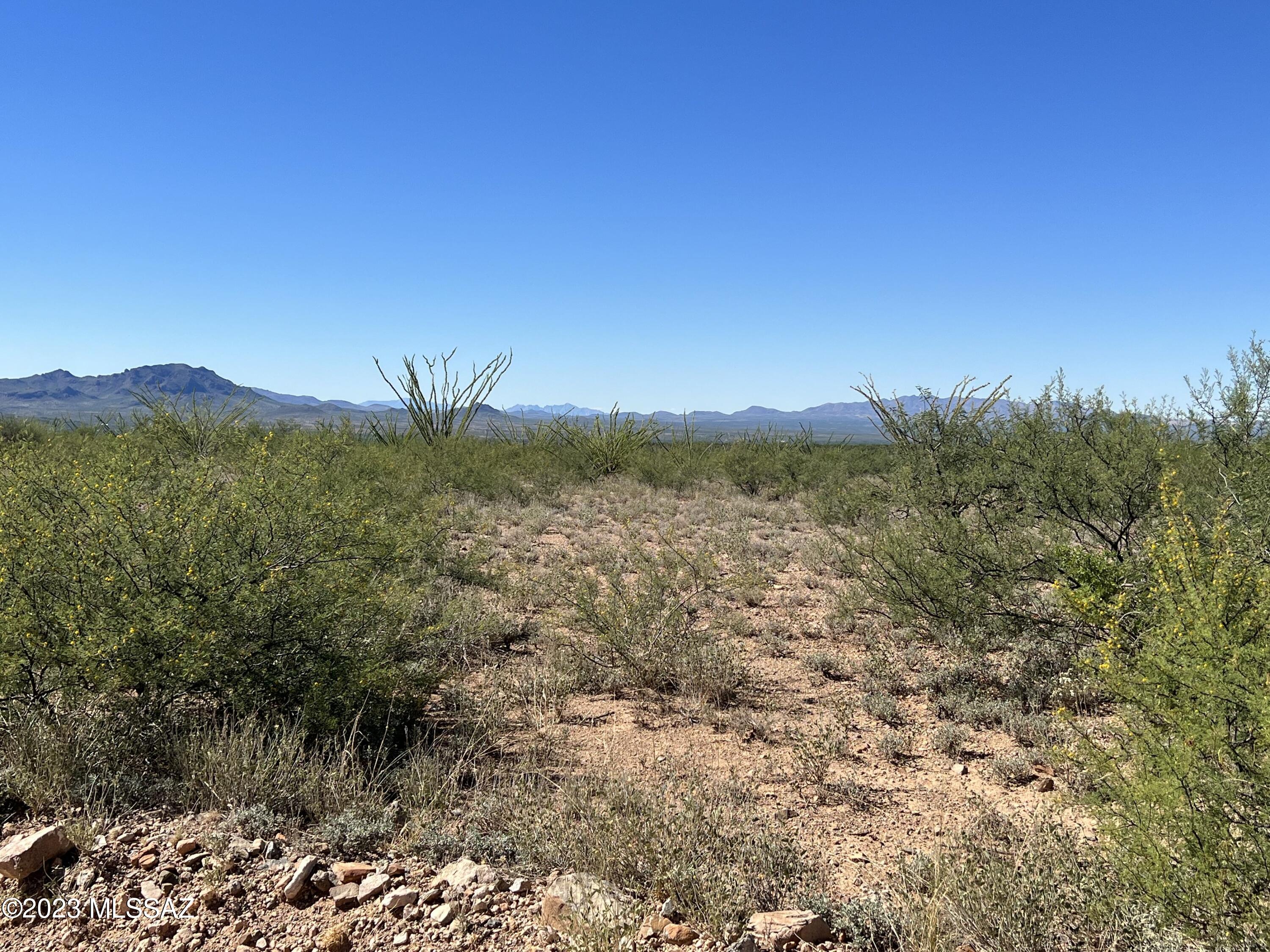 Tubac Foothills Ranch - Land
