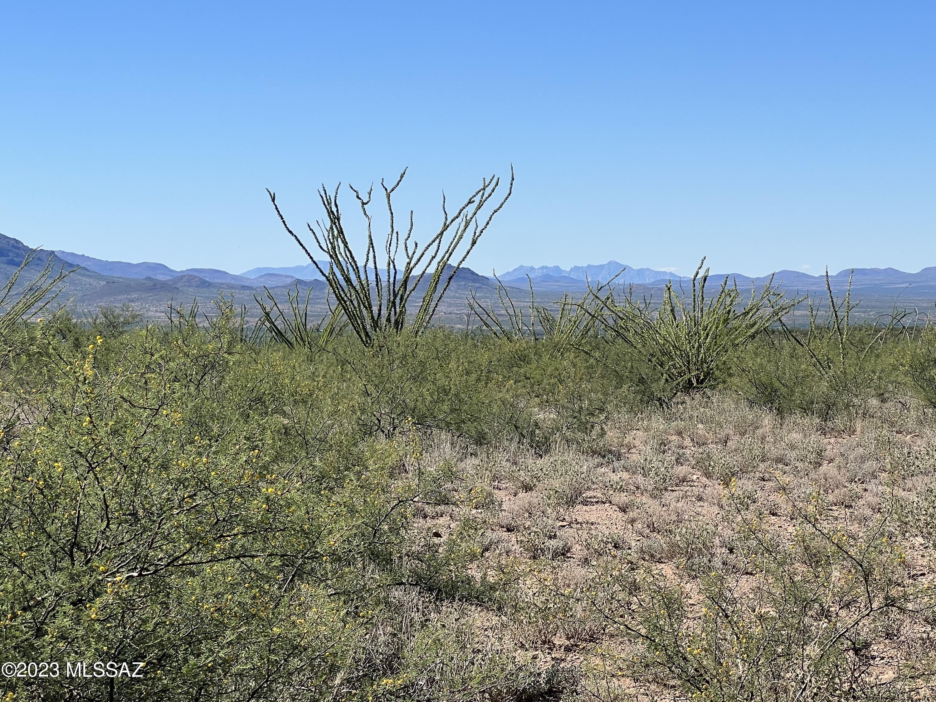 Tubac Foothills Ranch - Land
