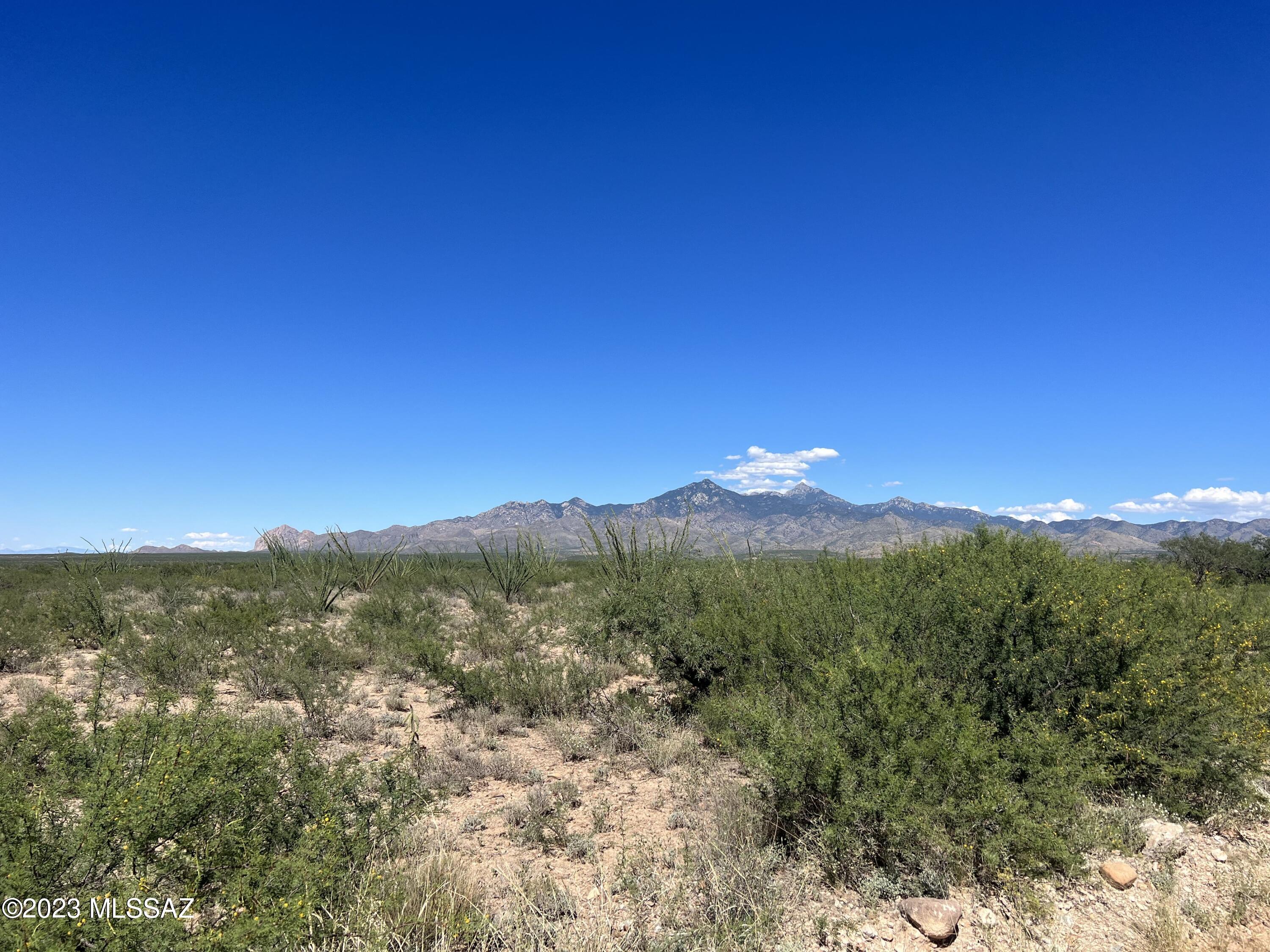 Tubac Foothills Ranch - Land