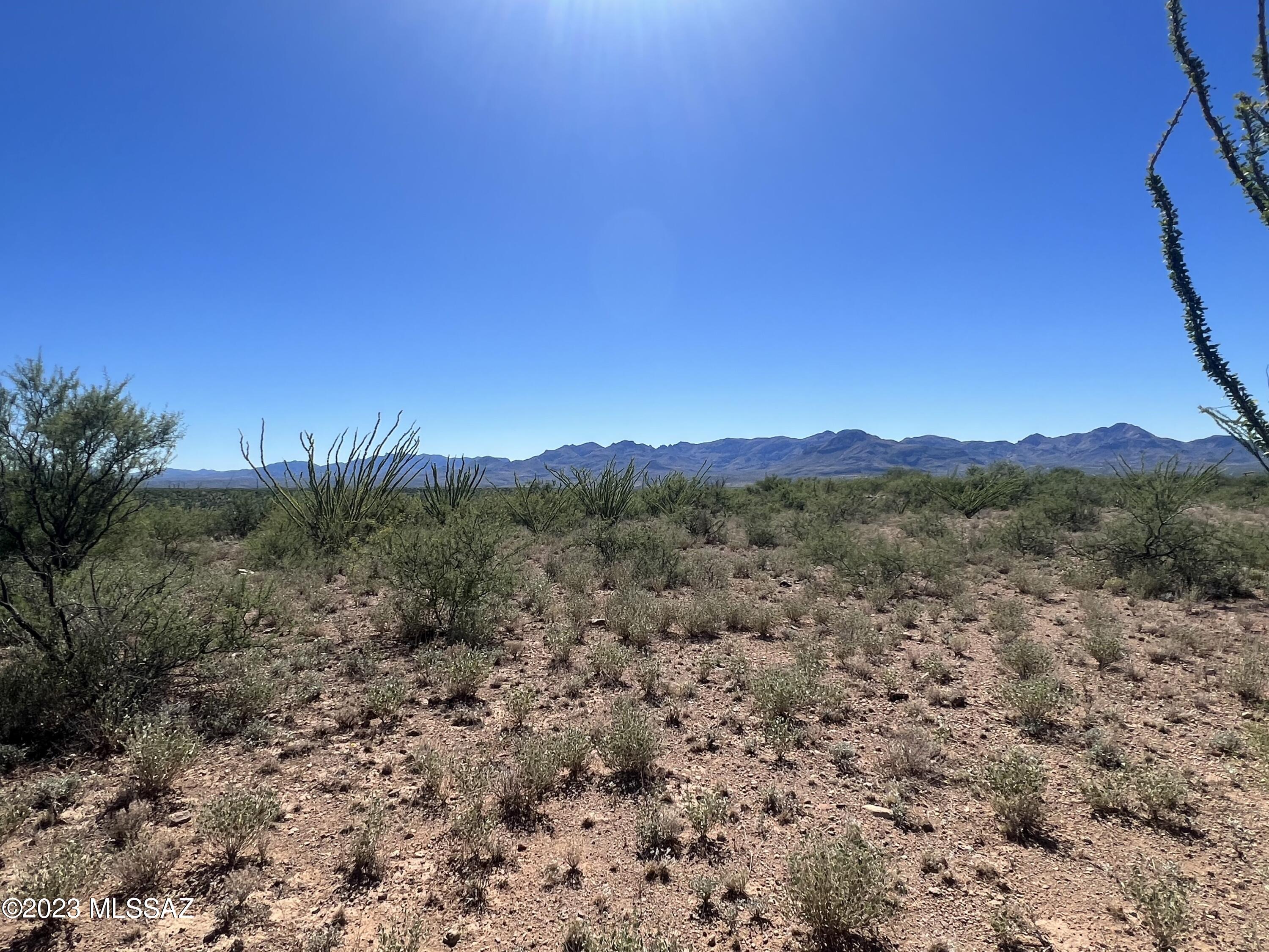 Tubac Foothills Ranch - Land
