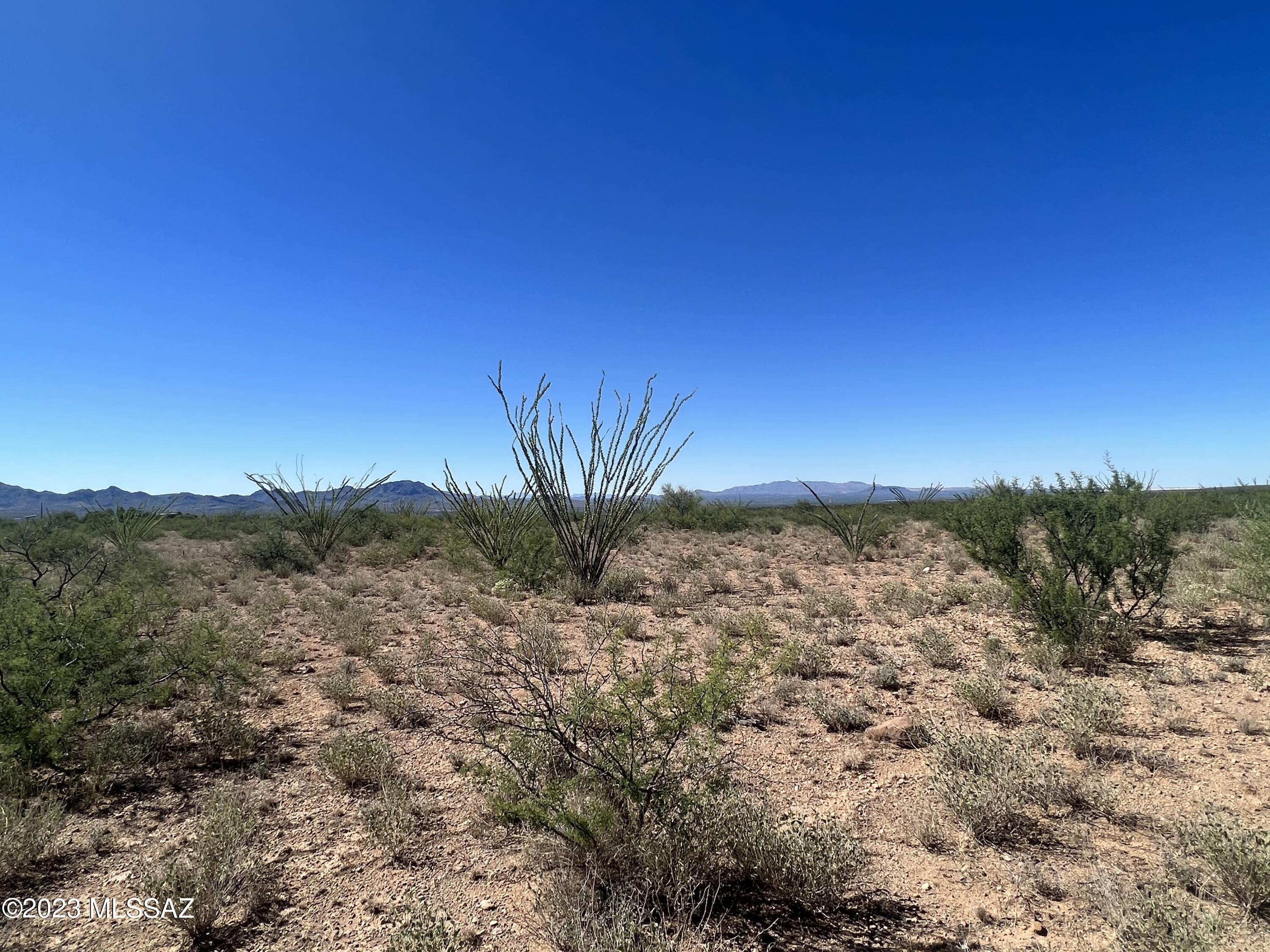 Tubac Foothills Ranch - Land