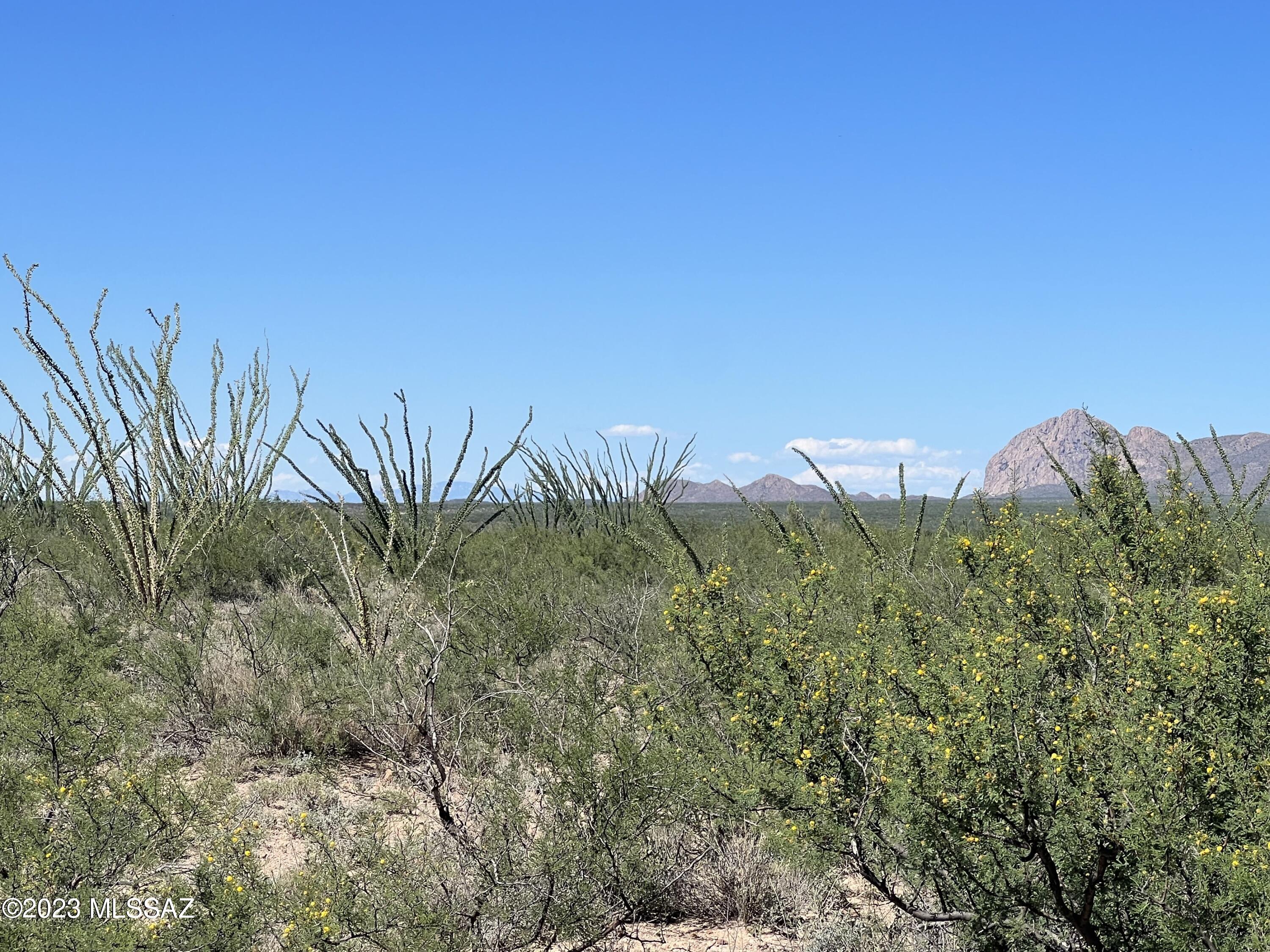 Tubac Foothills Ranch - Land