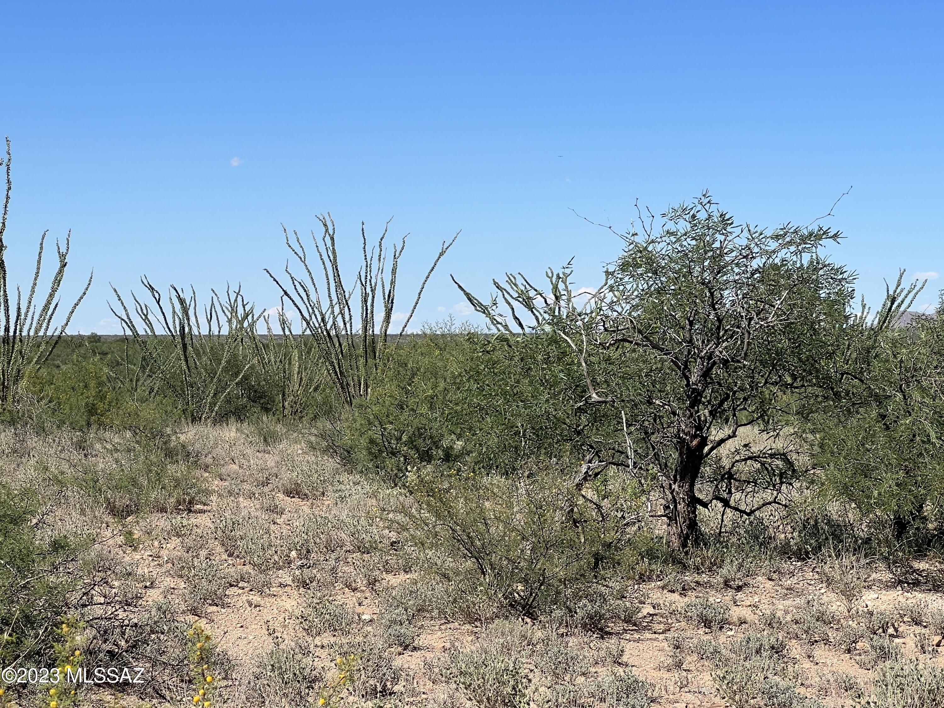 Tubac Foothills Ranch - Land