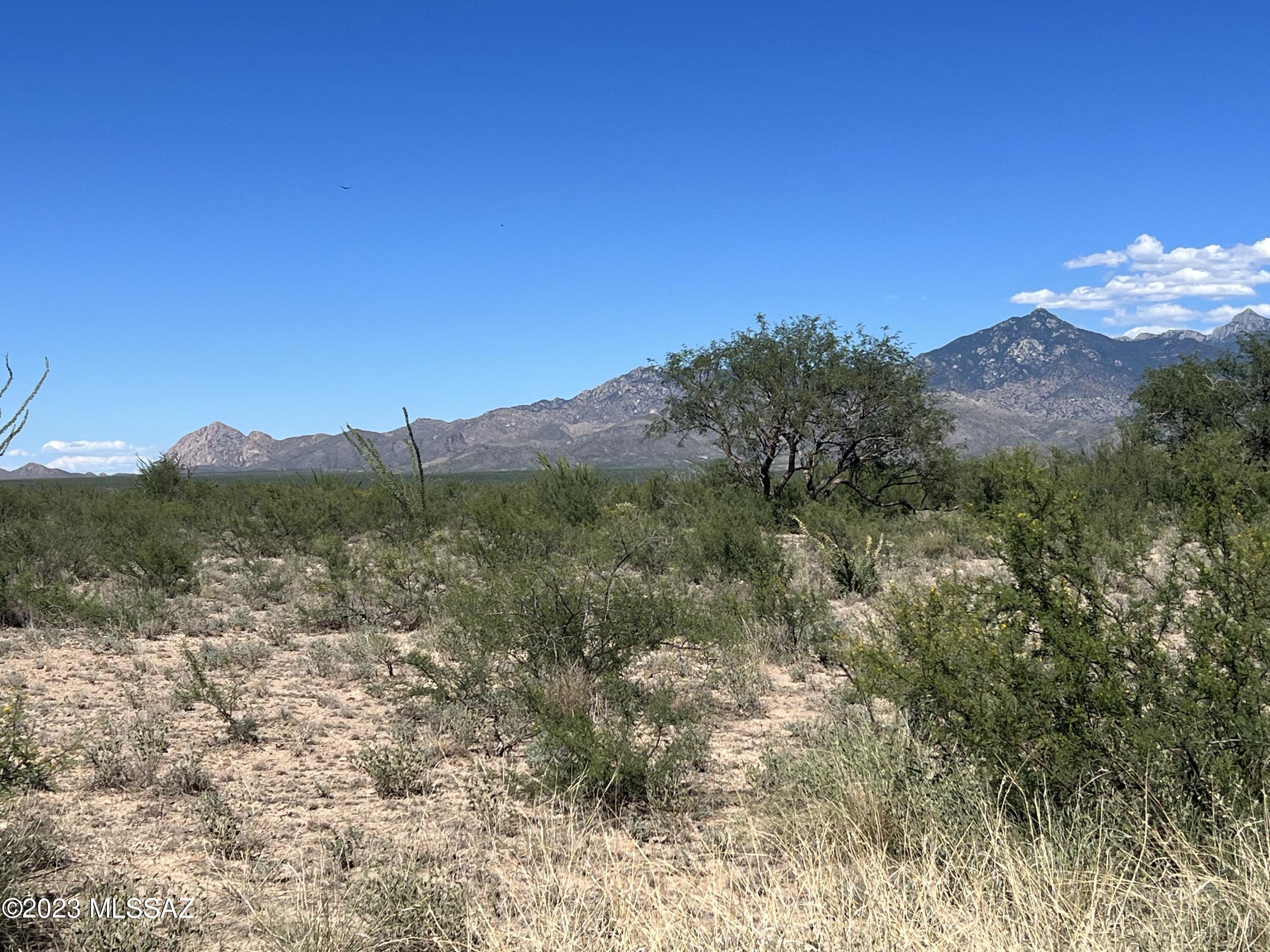 Tubac Foothills Ranch - Land
