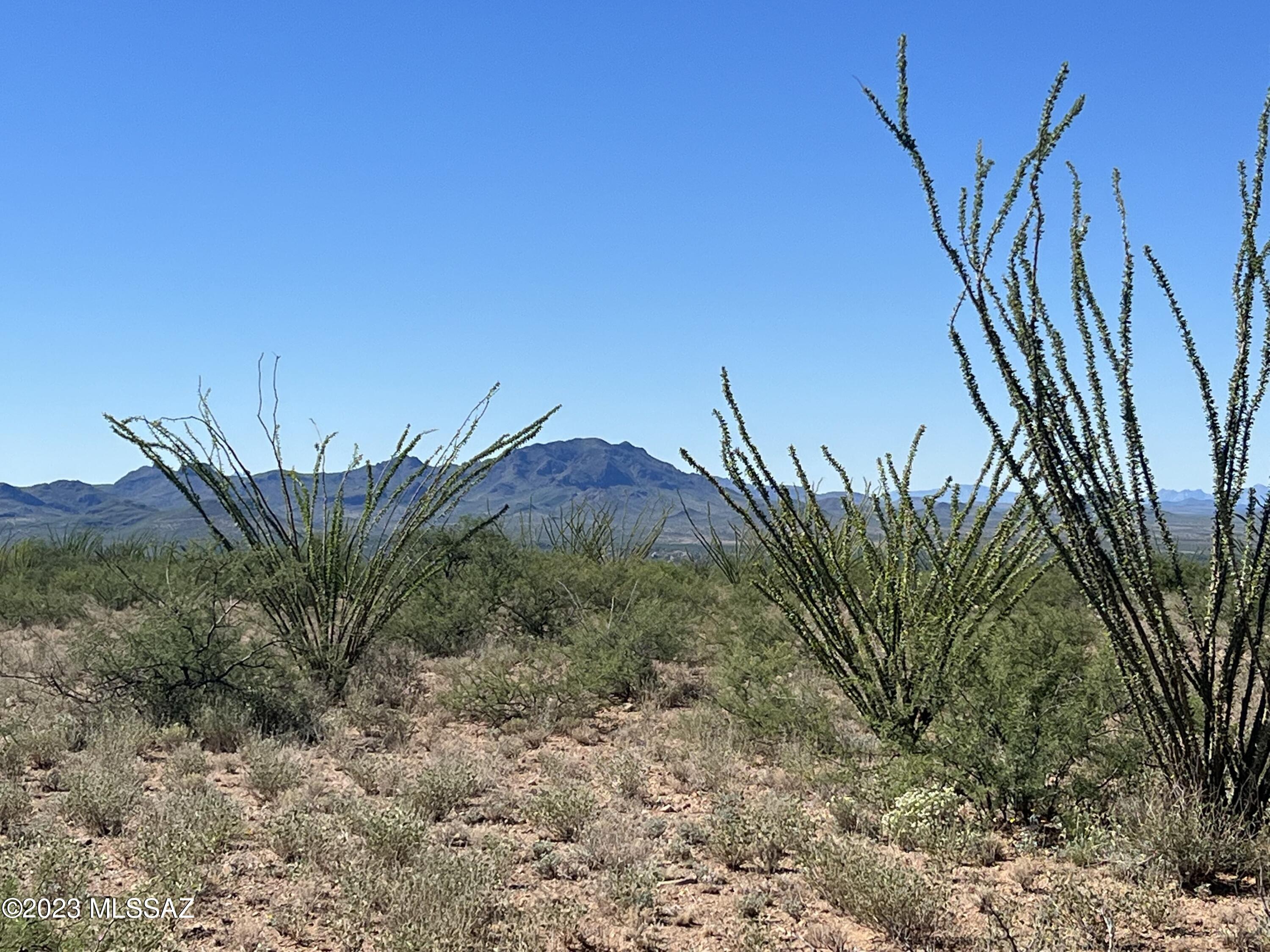 Tubac Foothills Ranch - Land