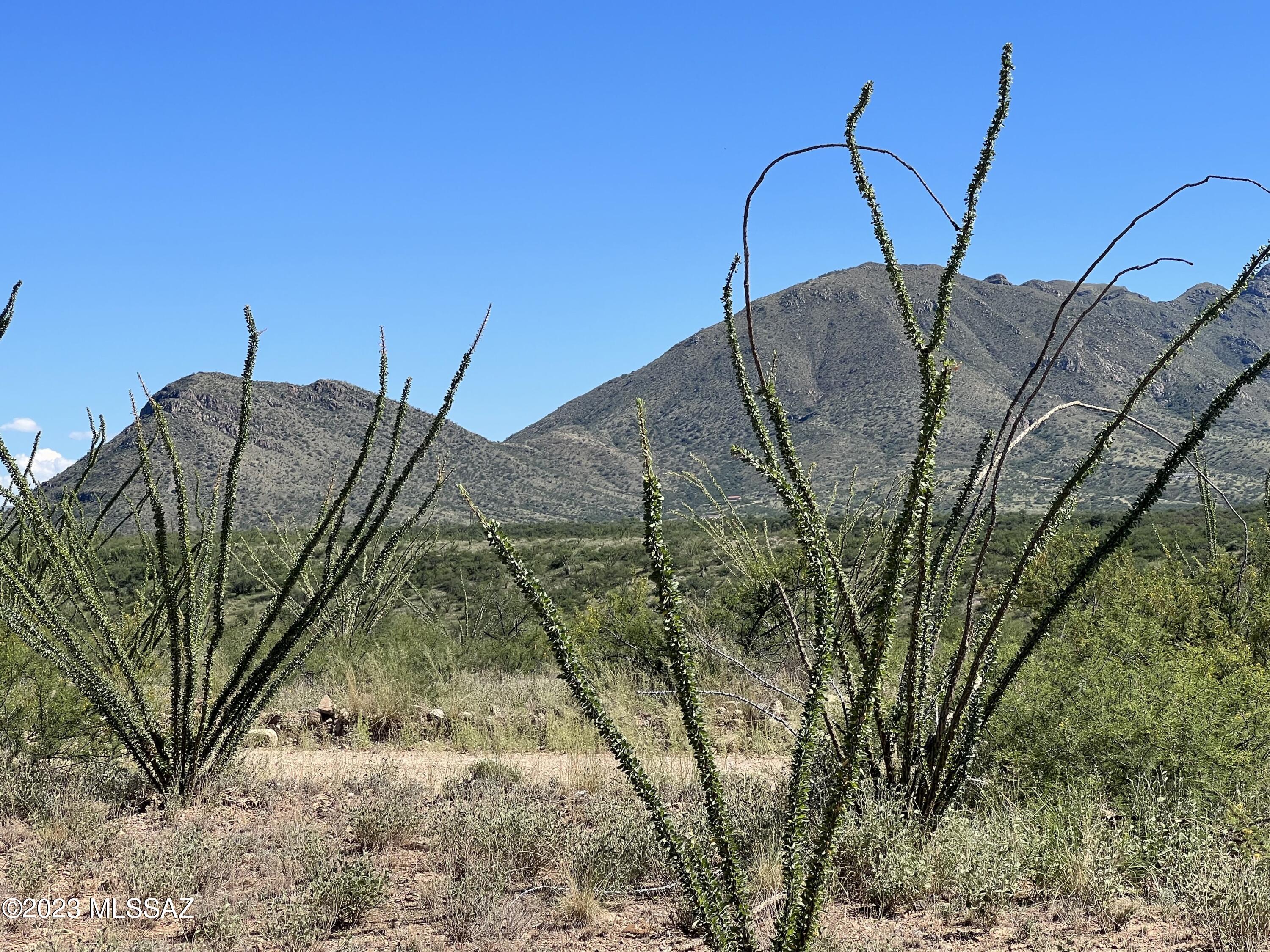 Tubac Foothills Ranch - Land