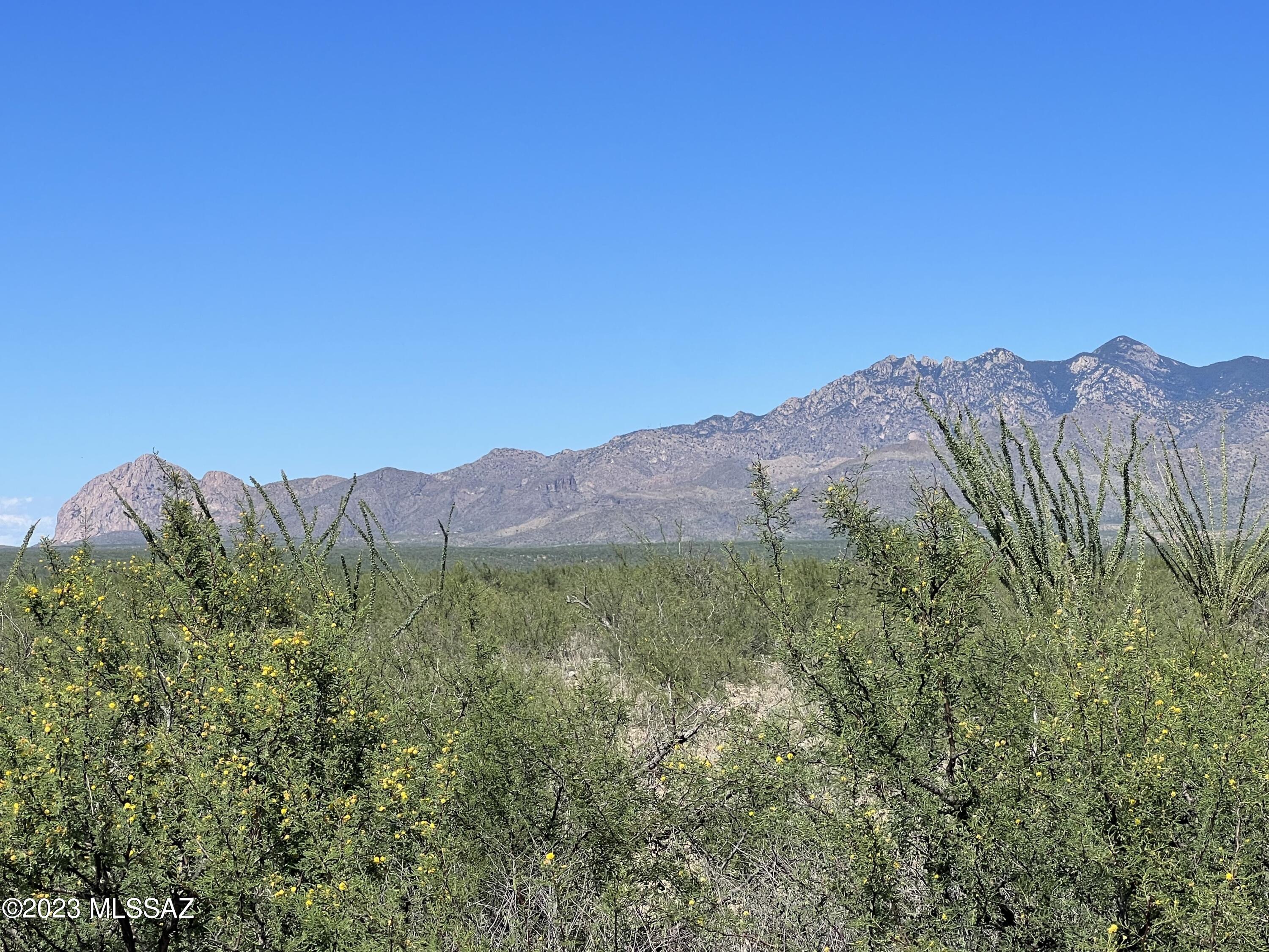 Tubac Foothills Ranch - Land