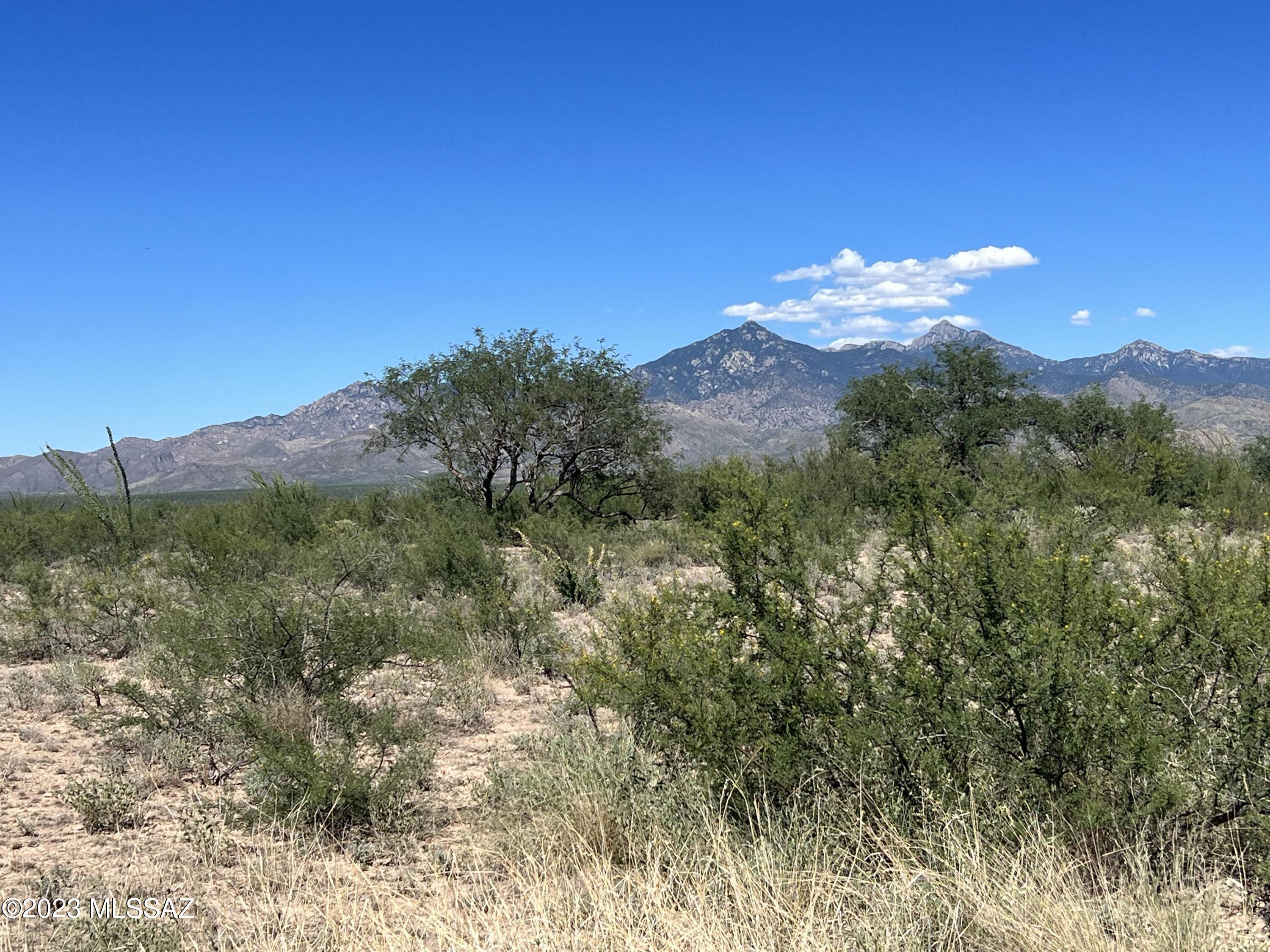 Tubac Foothills Ranch - Land