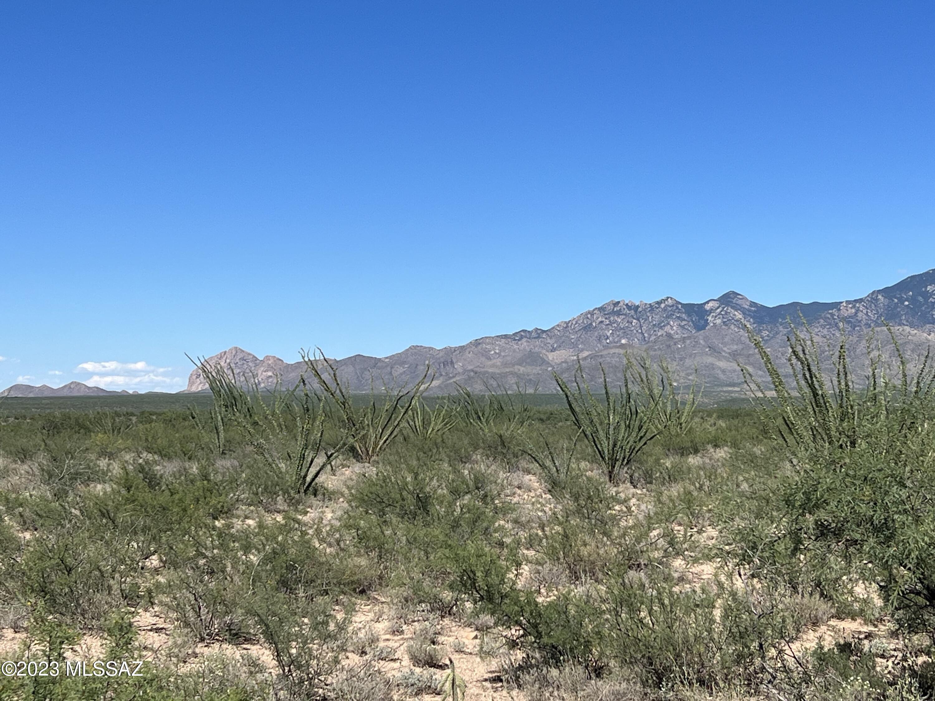 Tubac Foothills Ranch - Land