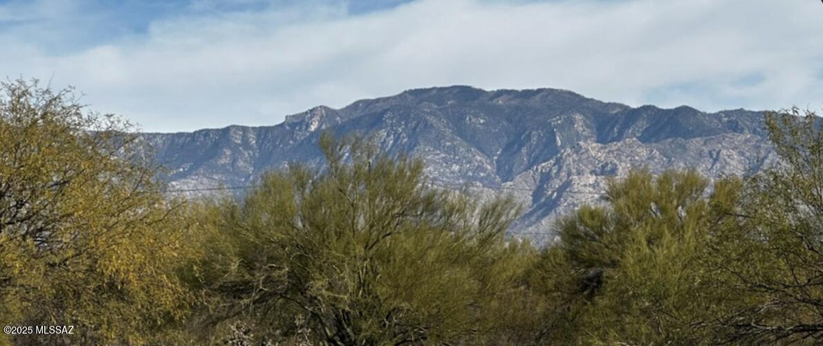 TBD N La Cholla Boulevard