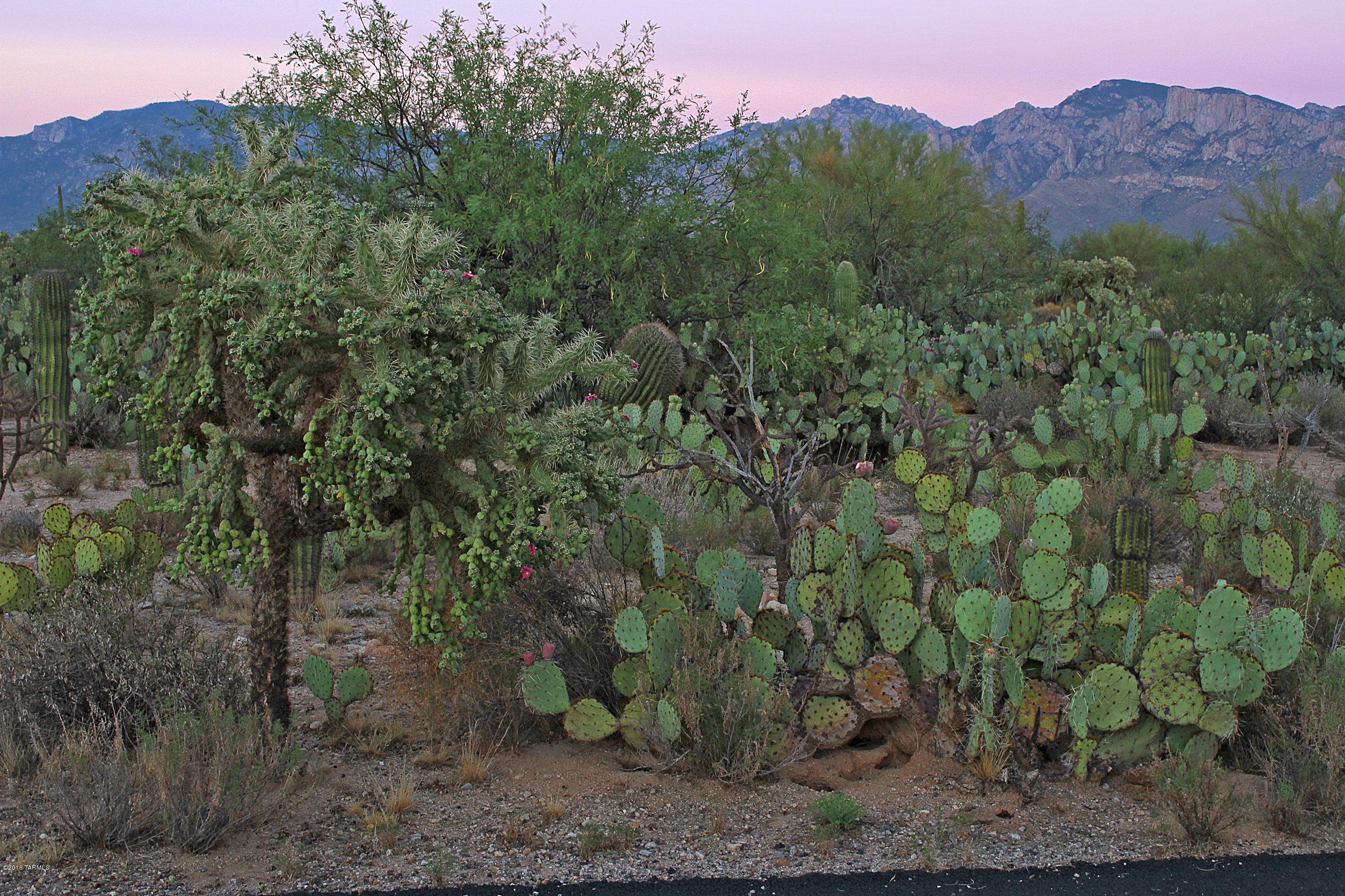 Sunset Canyon Estates (1-21) - Land