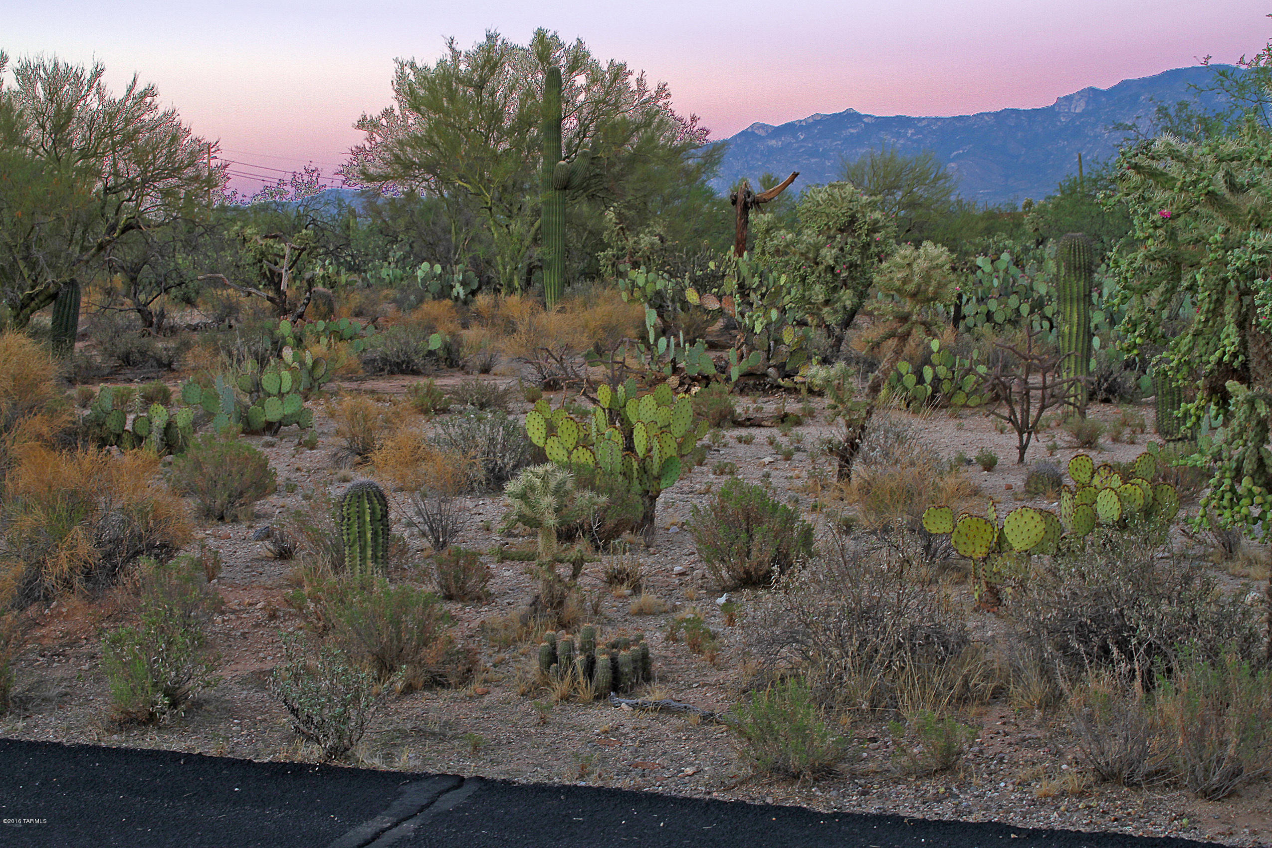 Sunset Canyon Estates (1-21) - Land