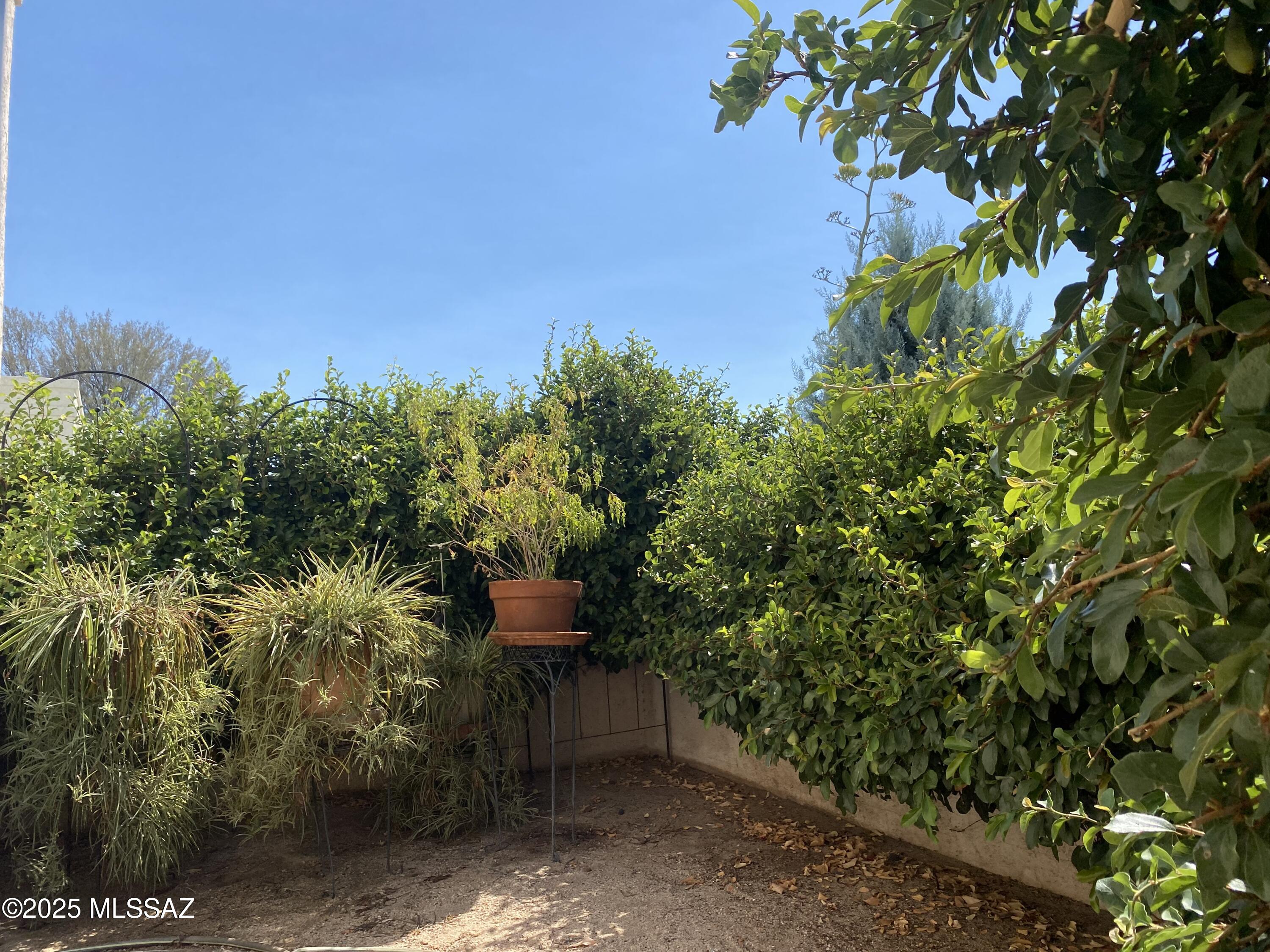 7921 N Casas Carmen