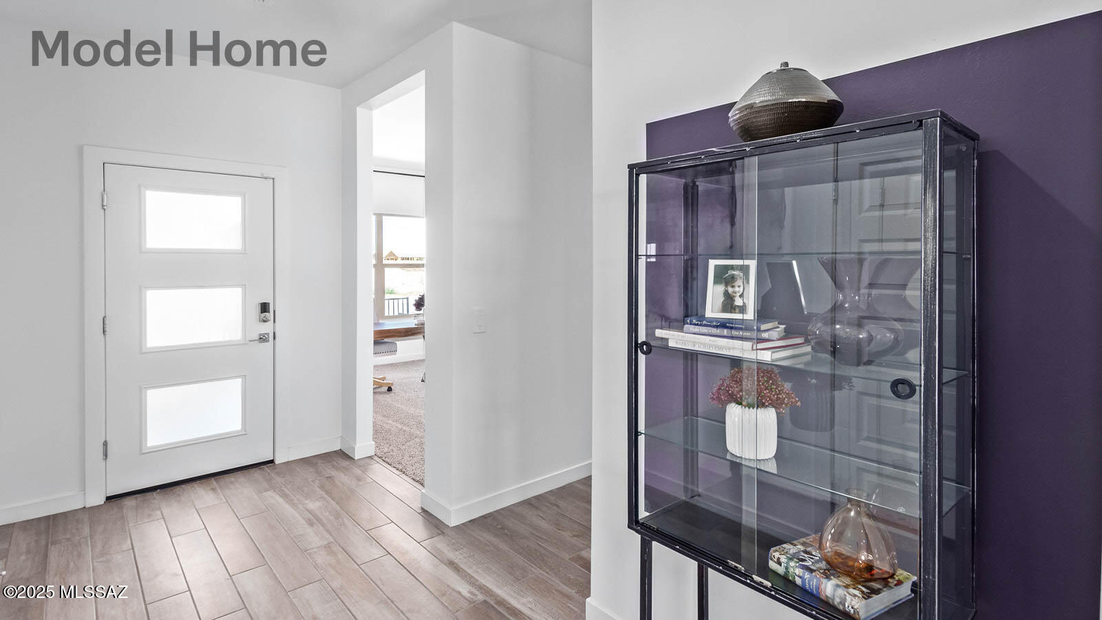 461 W Camino Del Toro