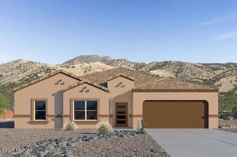 461 W Camino Del Toro Vail AZ 85641