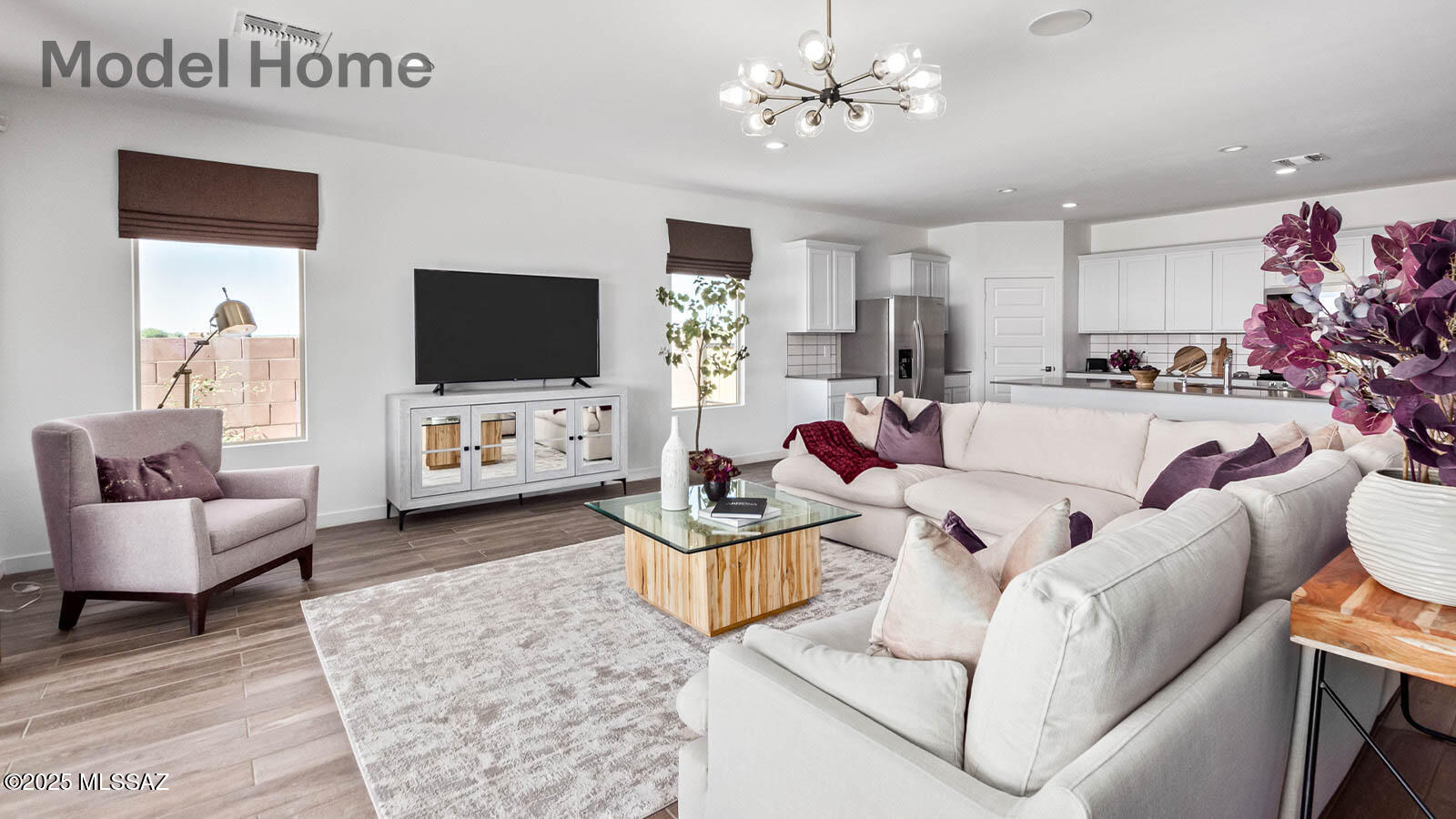 461 W Camino Del Toro