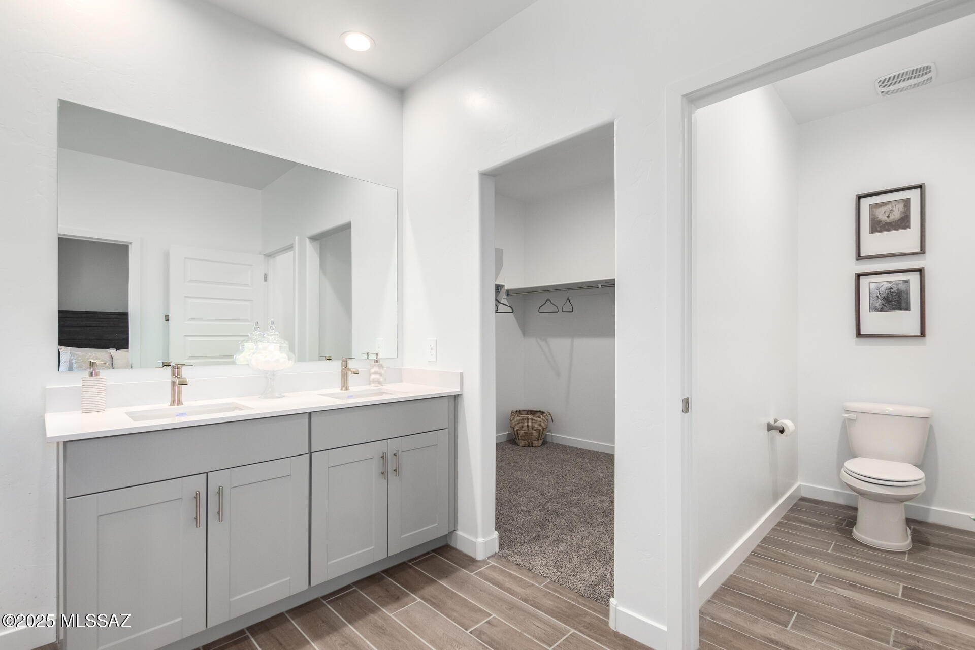 Saguaro Bloom SQ20180540069 - Residential