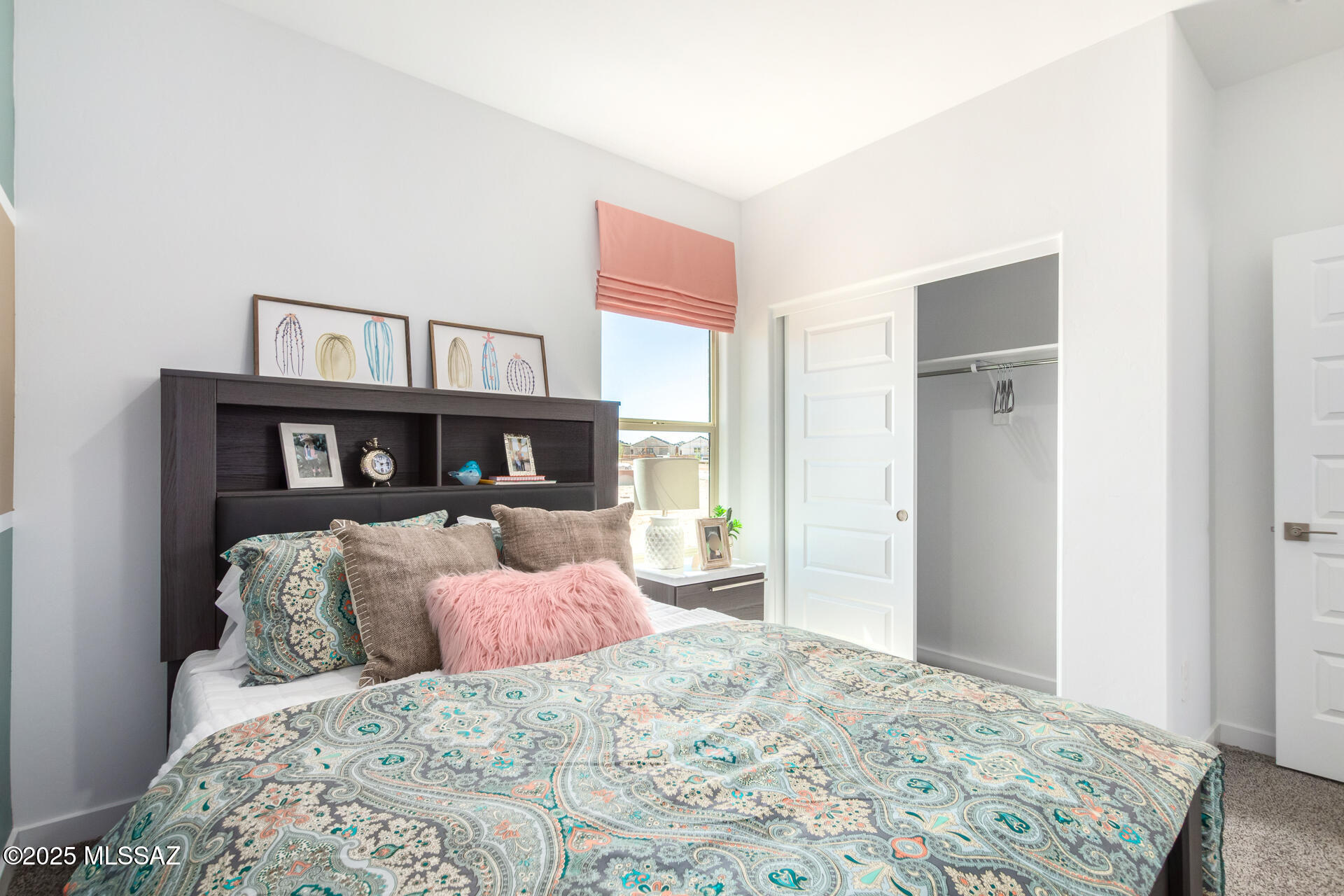 Saguaro Bloom SQ20180540069 - Residential