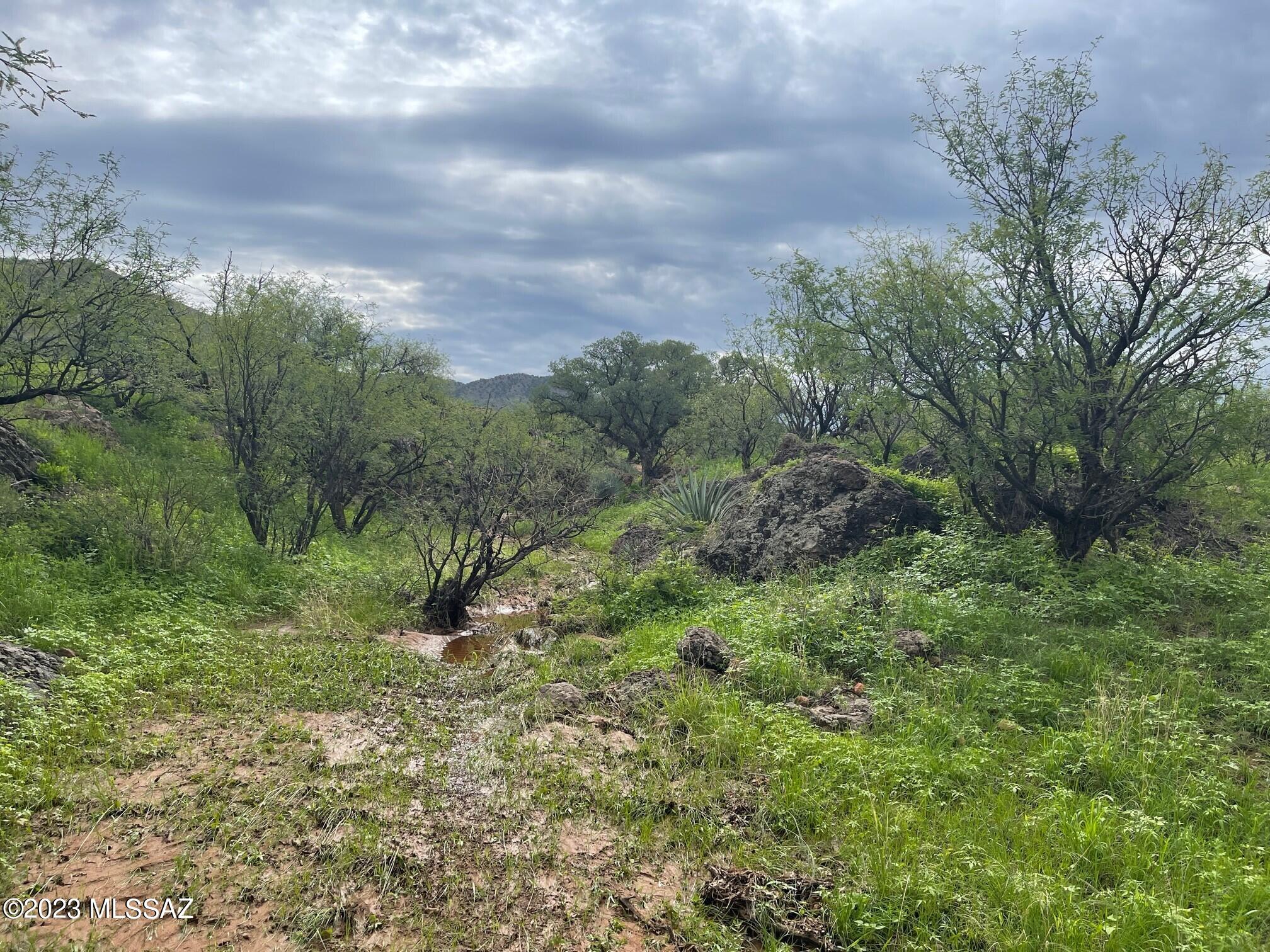 Salero Ranch - Land