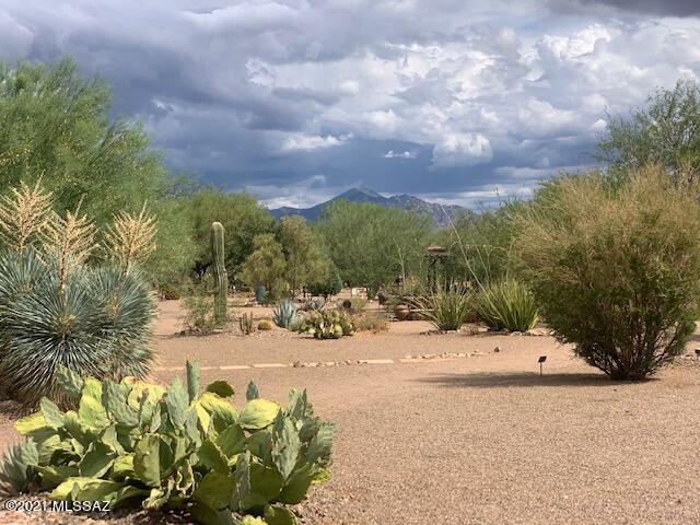 Green Valley Desert Meadows NO.2(1-209) - Residential