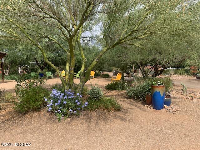 Green Valley Desert Meadows NO.2(1-209) - Residential