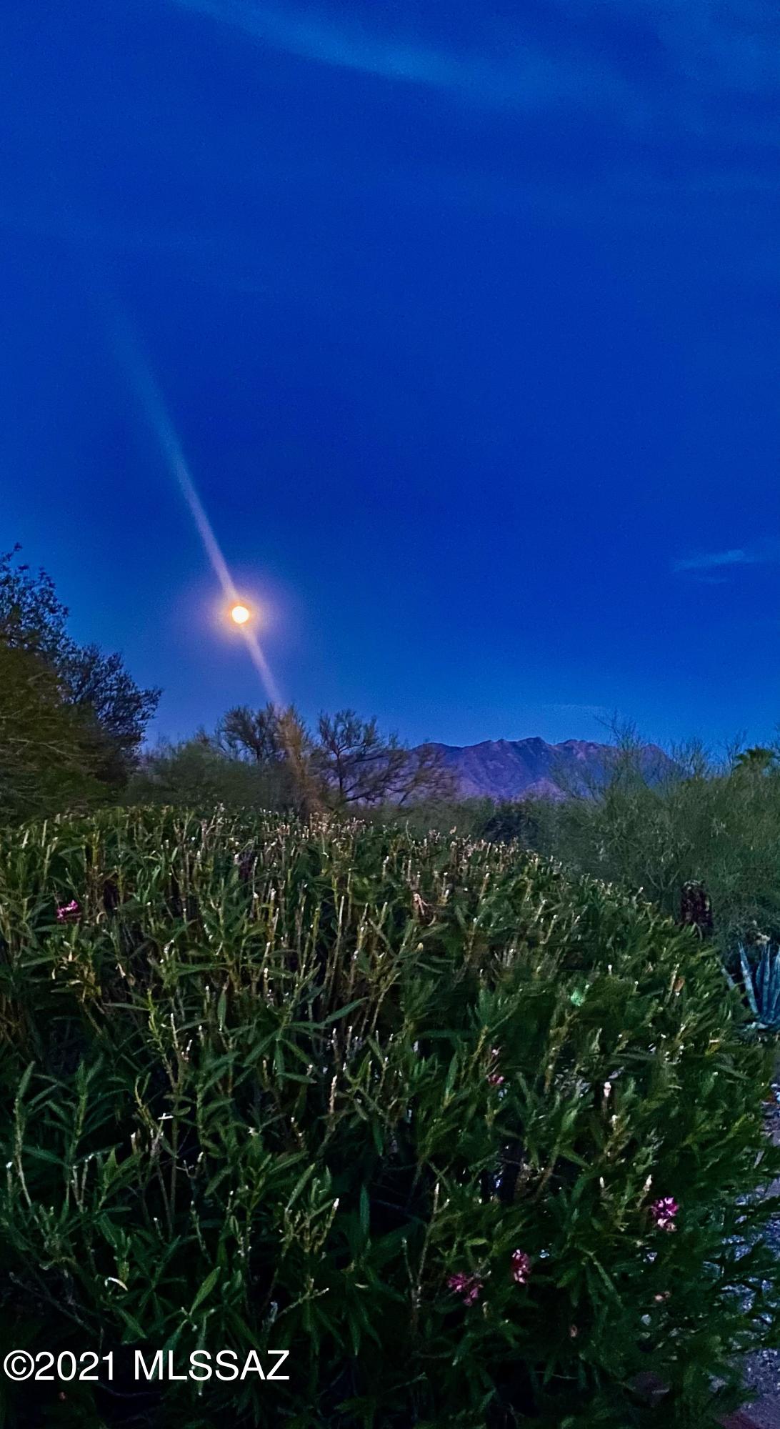 Green Valley Desert Meadows NO.2(1-209) - Residential
