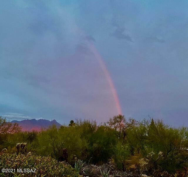 Green Valley Desert Meadows NO.2(1-209) - Residential
