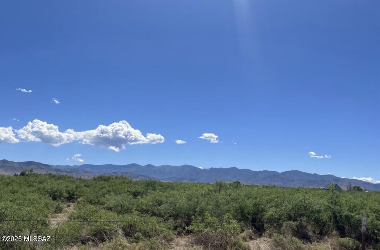 Turkey Creek Ranch - Land
