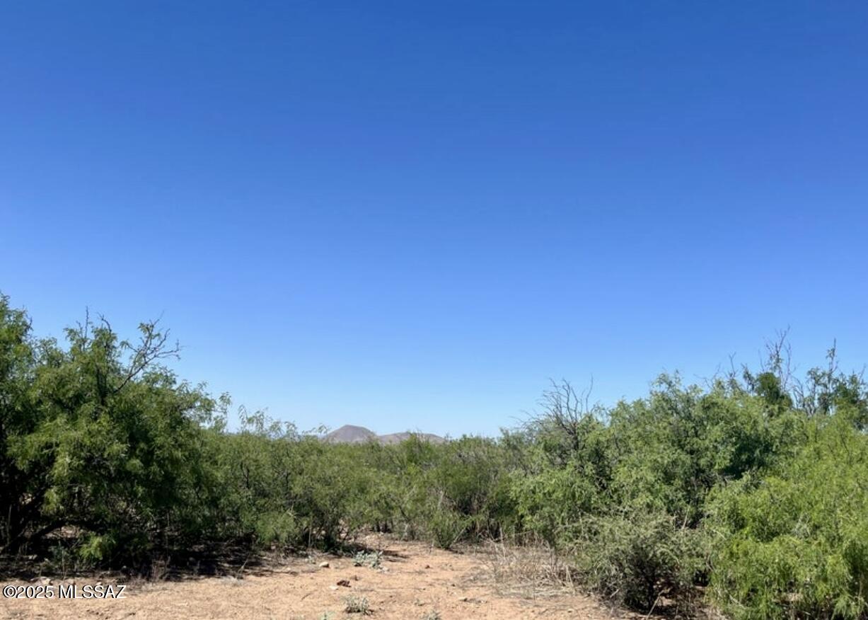 Turkey Creek Ranch - Land