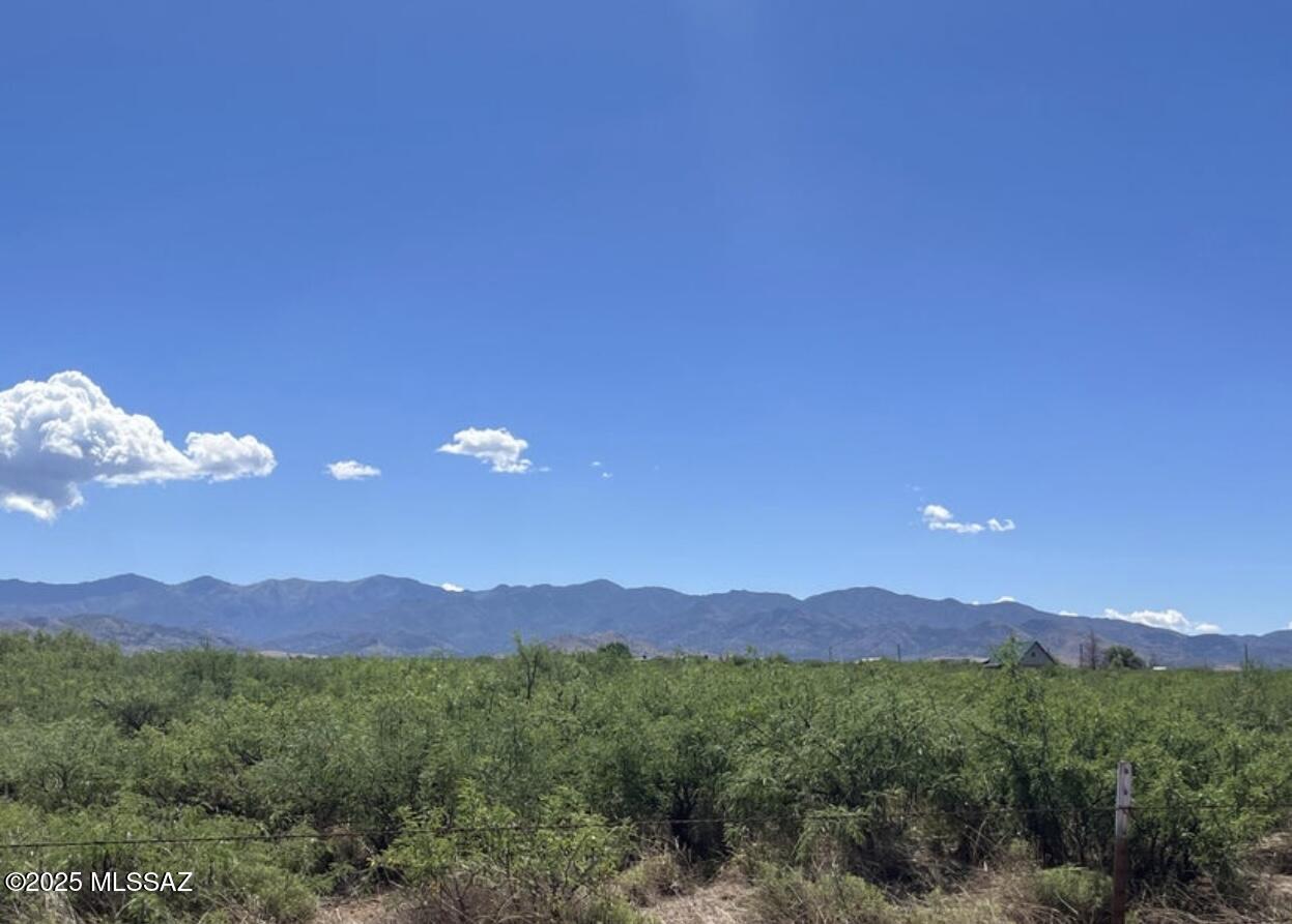 Turkey Creek Ranch - Land