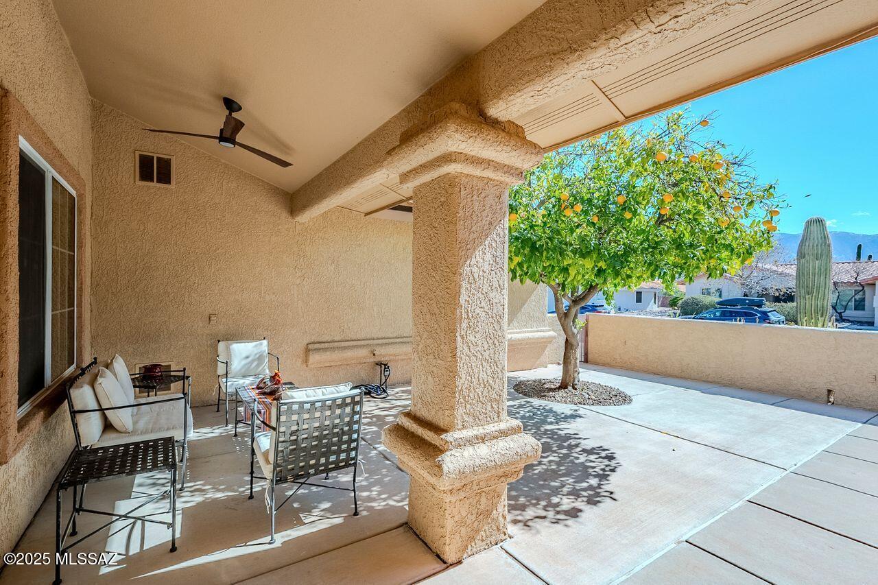 14679 N Windshade Drive