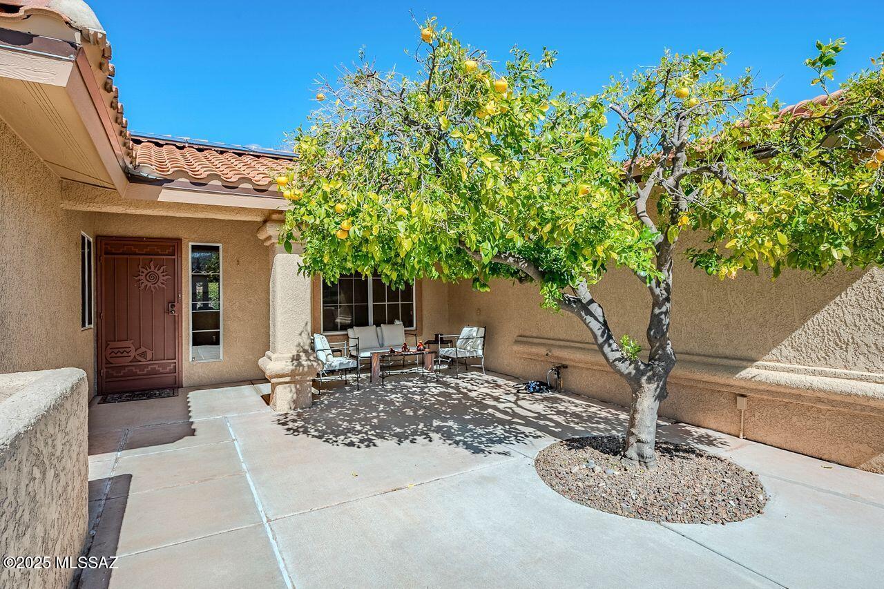 14679 N Windshade Drive