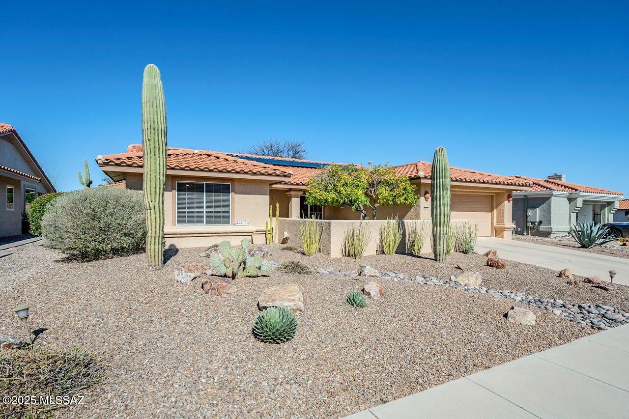 14679 N Windshade Drive