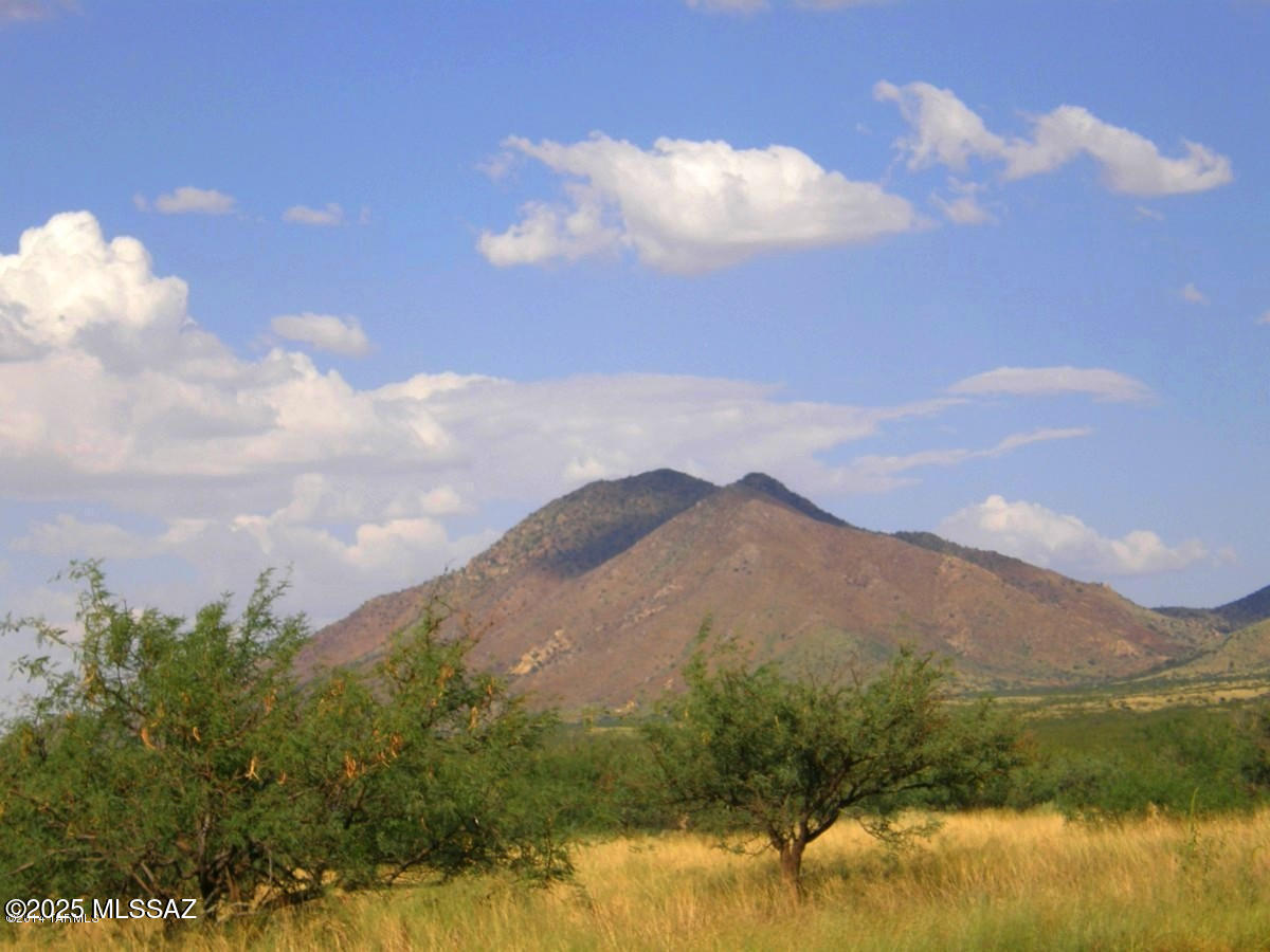 Dragoon Mountain Ranch - Land