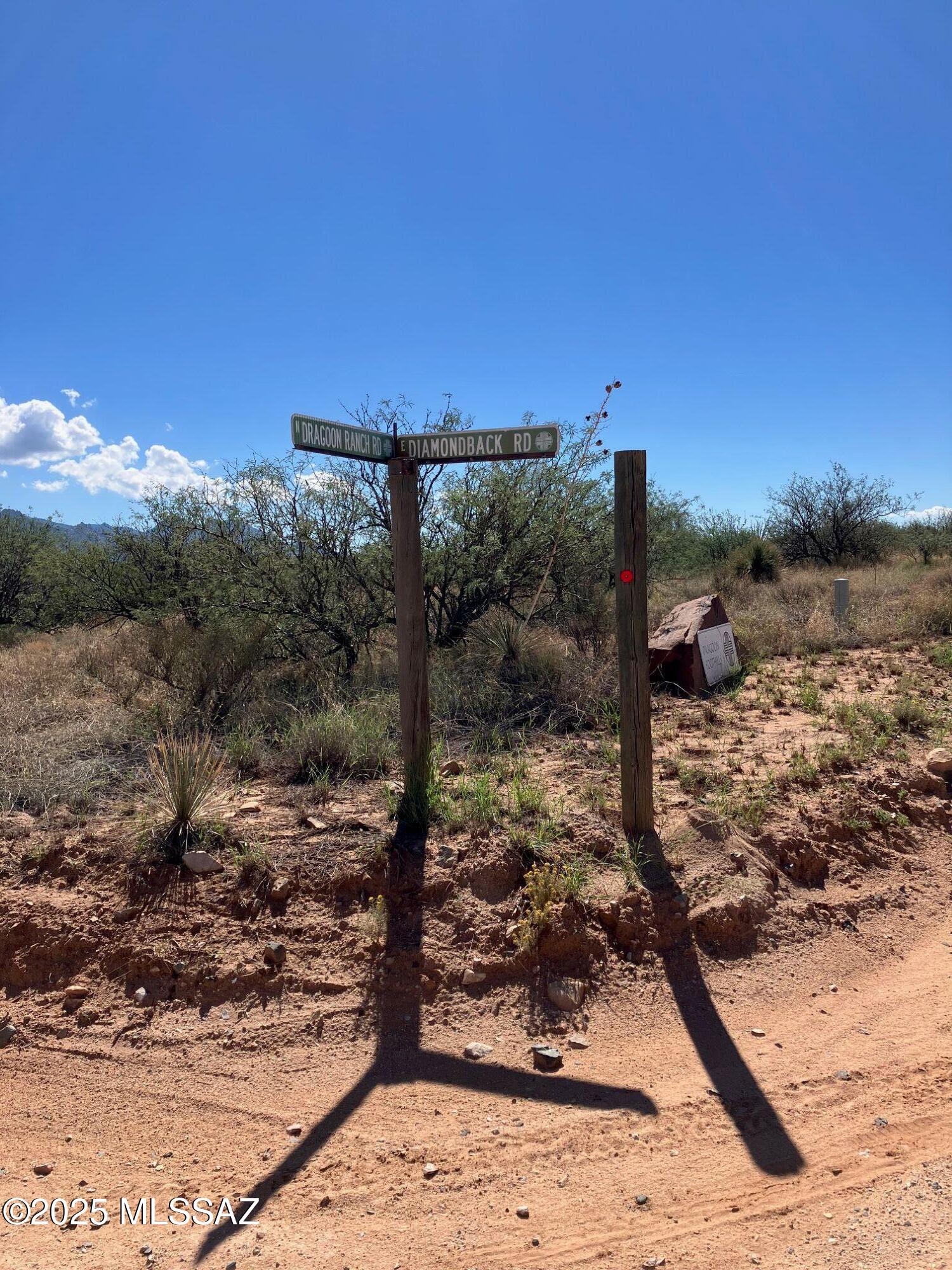 Dragoon Mountain Ranch - Land