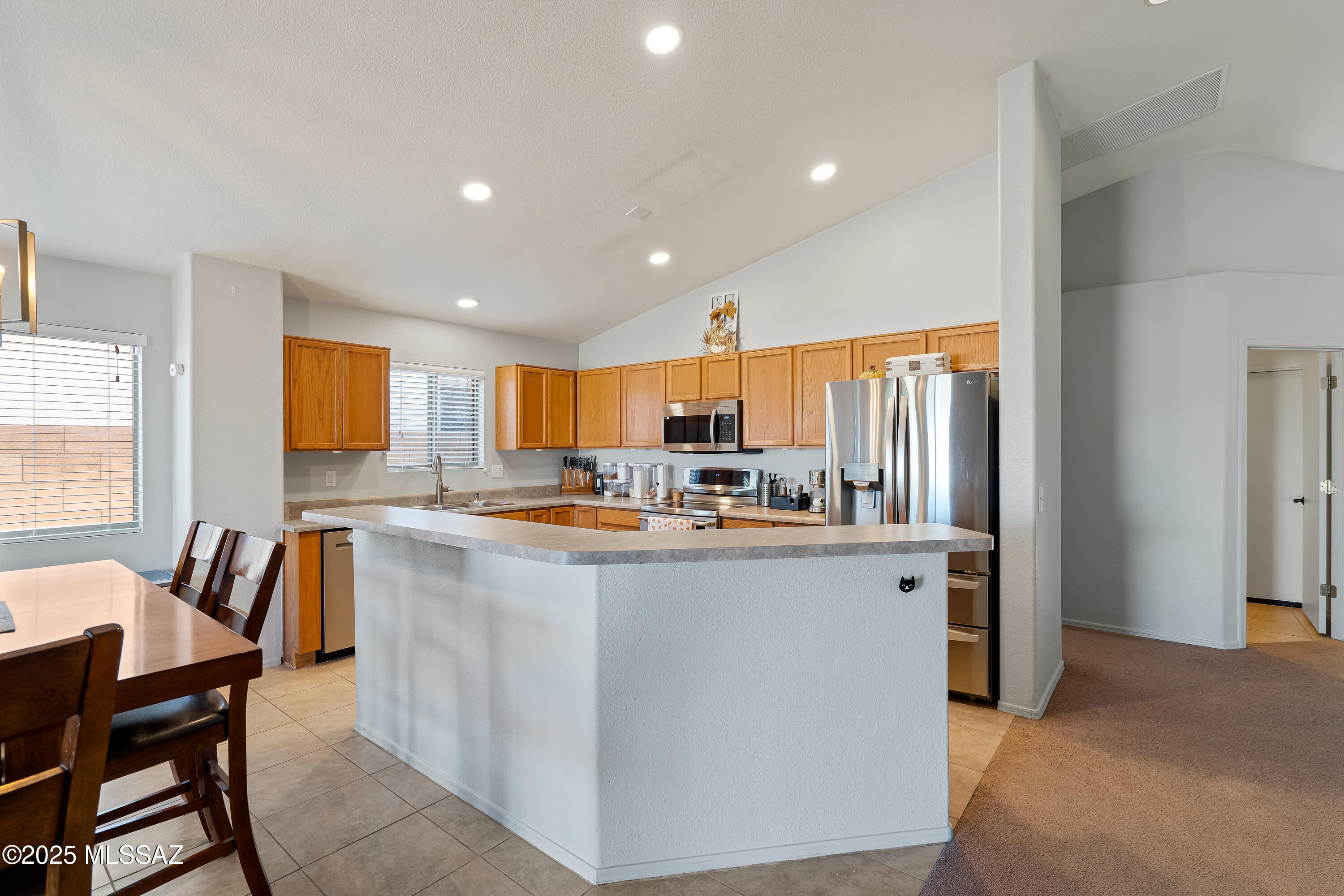 509 E Cactus Mountain Drive