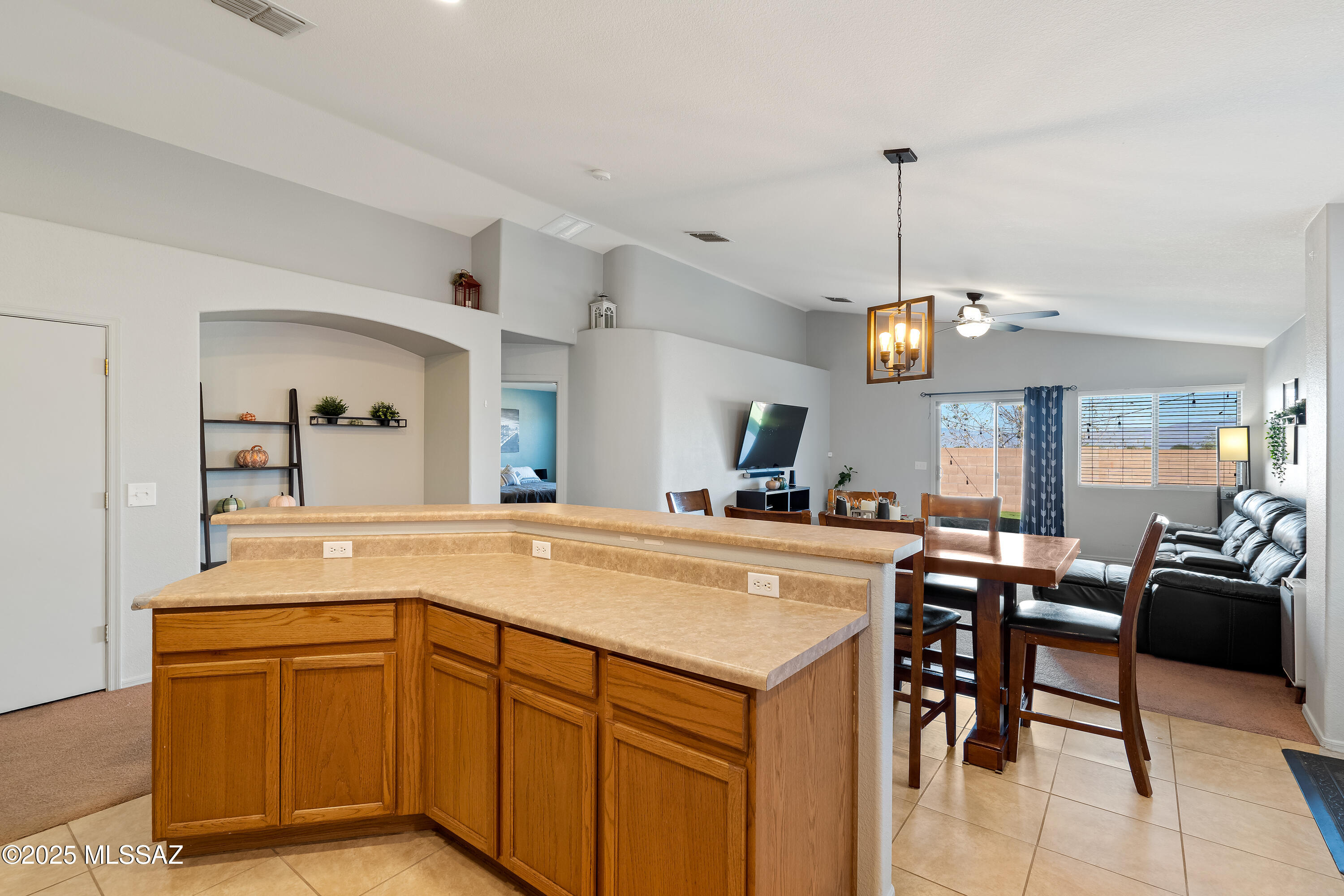 509 E Cactus Mountain Drive