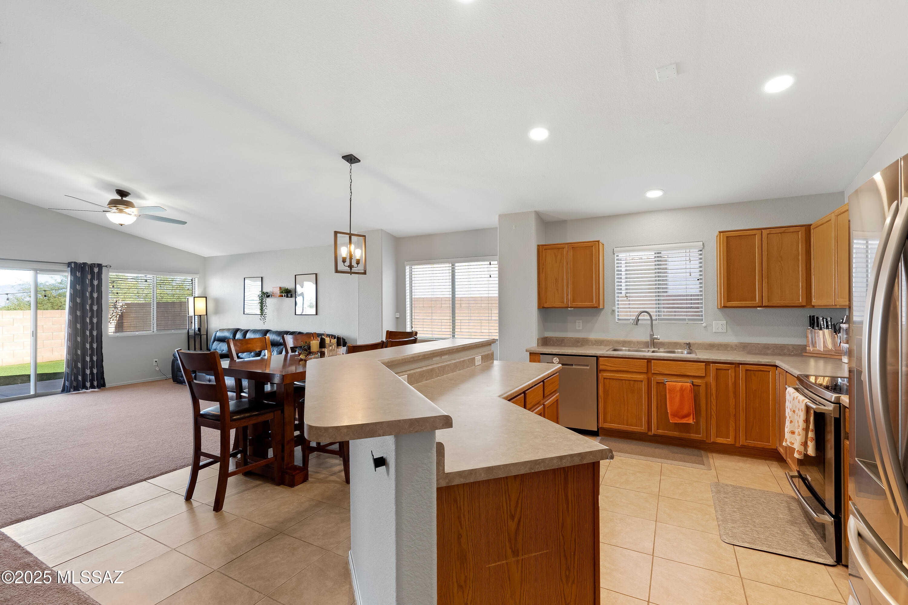 509 E Cactus Mountain Drive