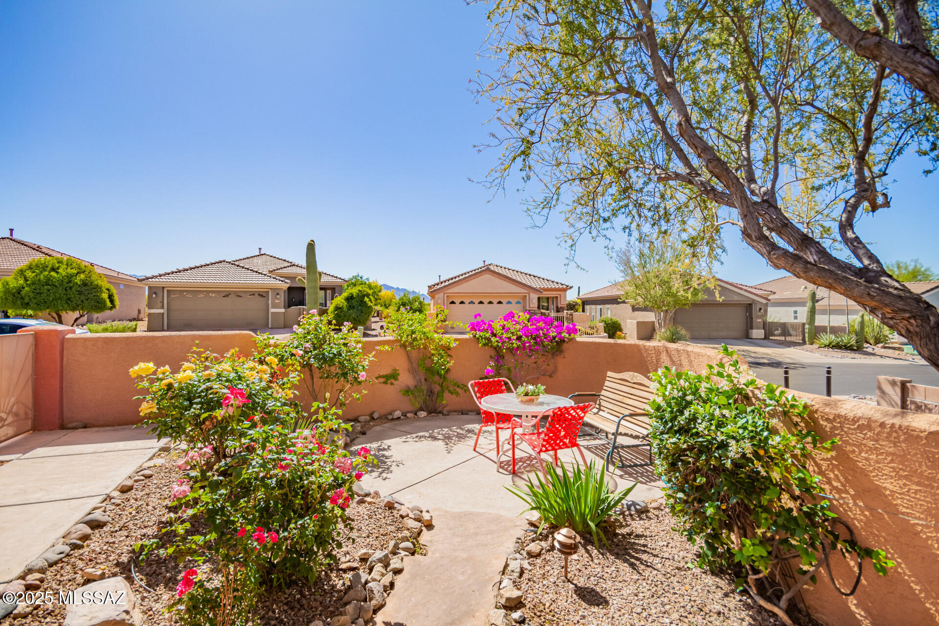 5042 W Desert Chicory Place