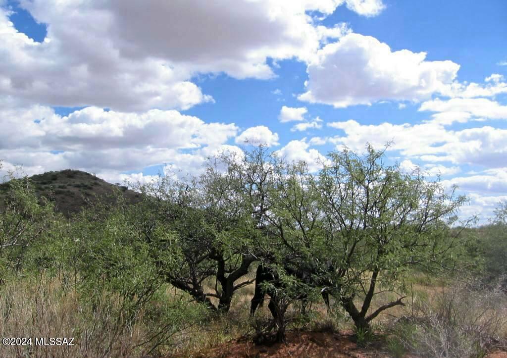 High Lonesome Ranch Estates - Land